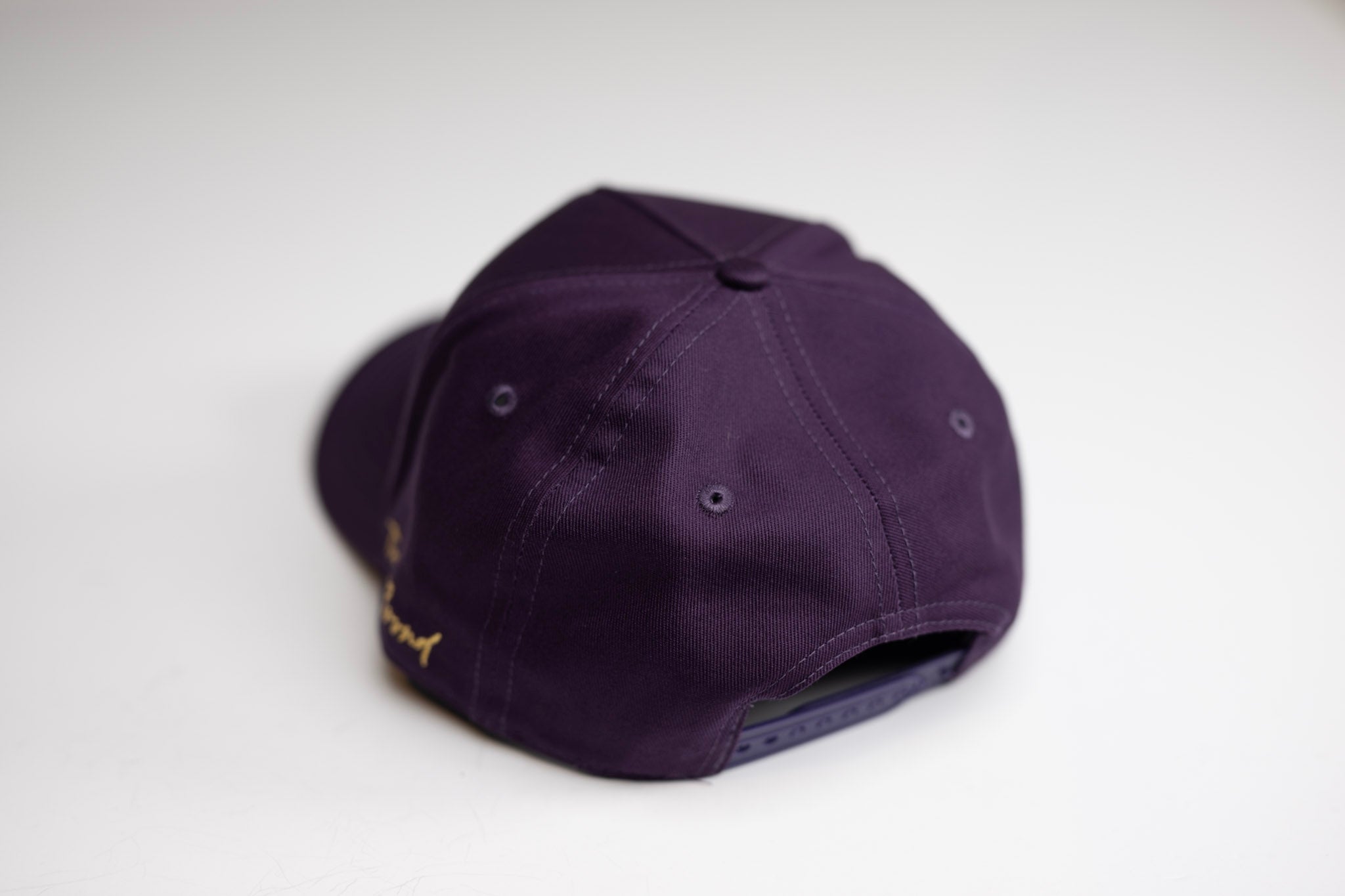 Precurved Dallas snapback - PURPLE