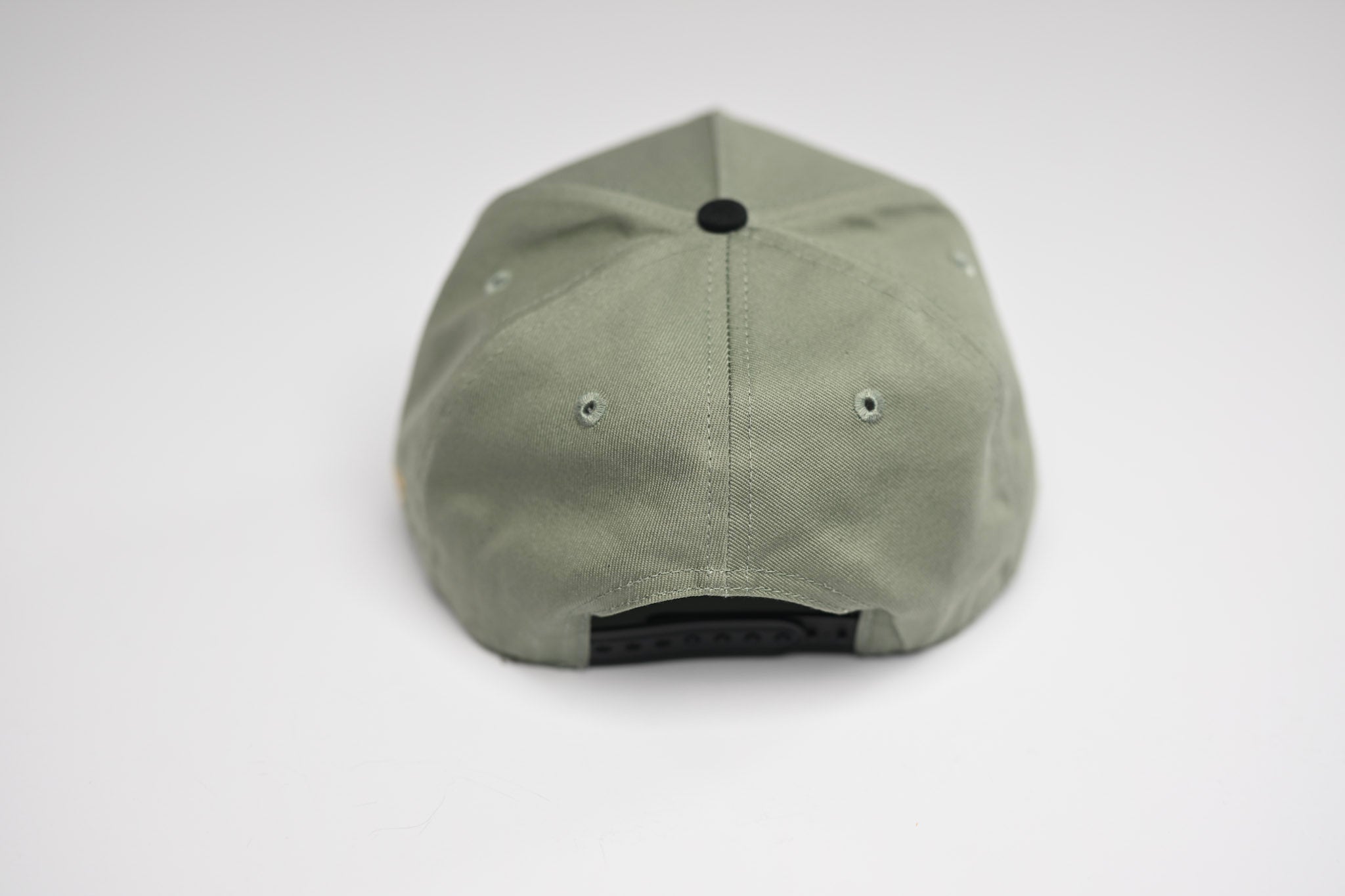 Precurved Dallas snapback - BLACK / SAGE