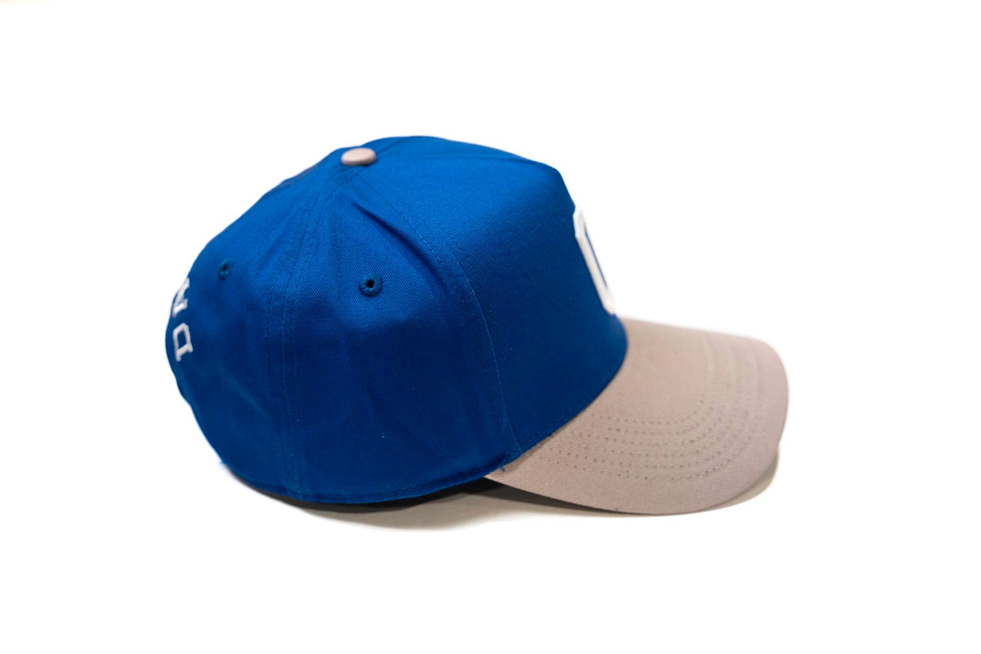 V2 Precurved snap - GRAY / ROYAL