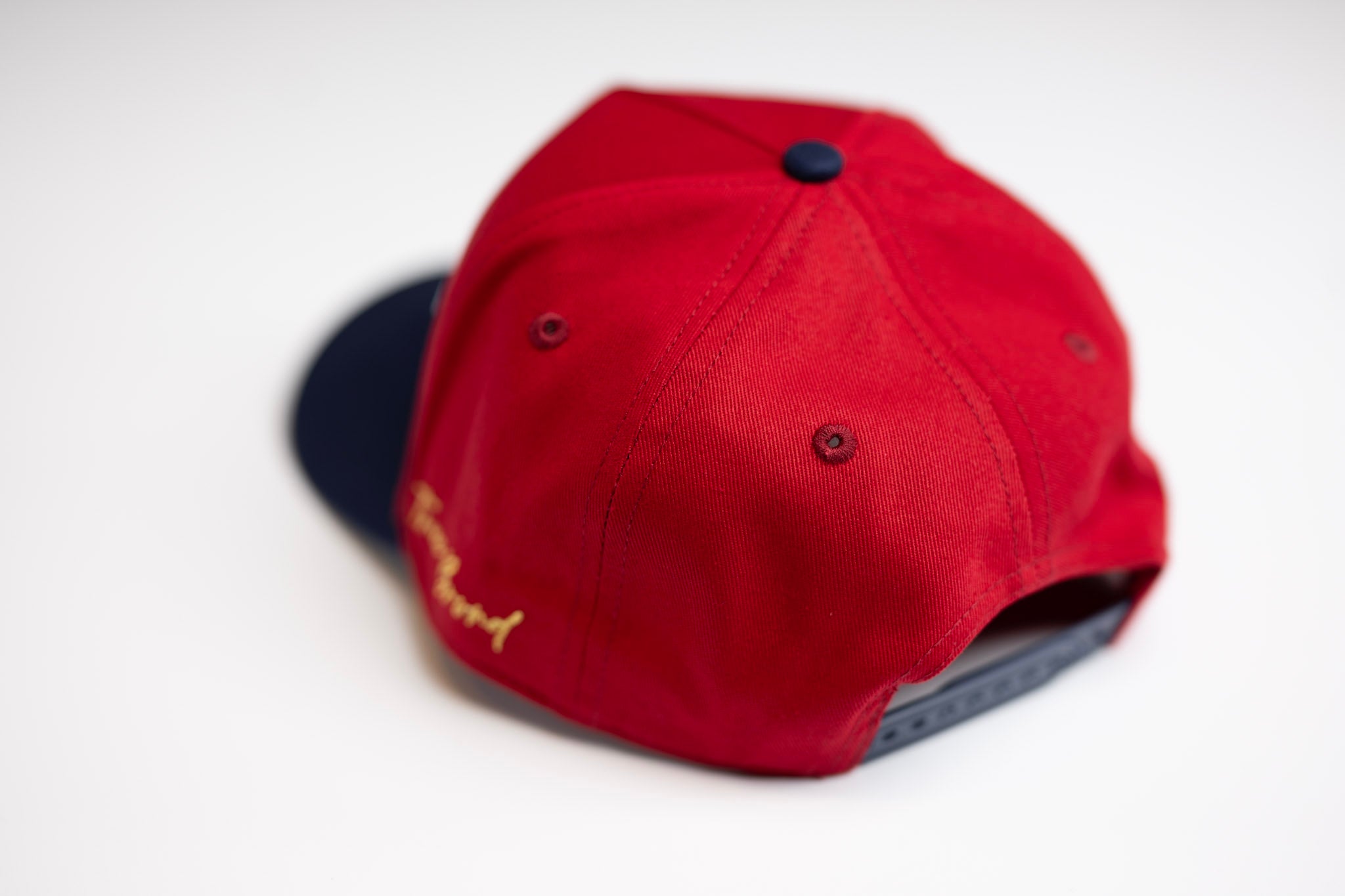 Precurved Dallas snapback - NAVY / RED
