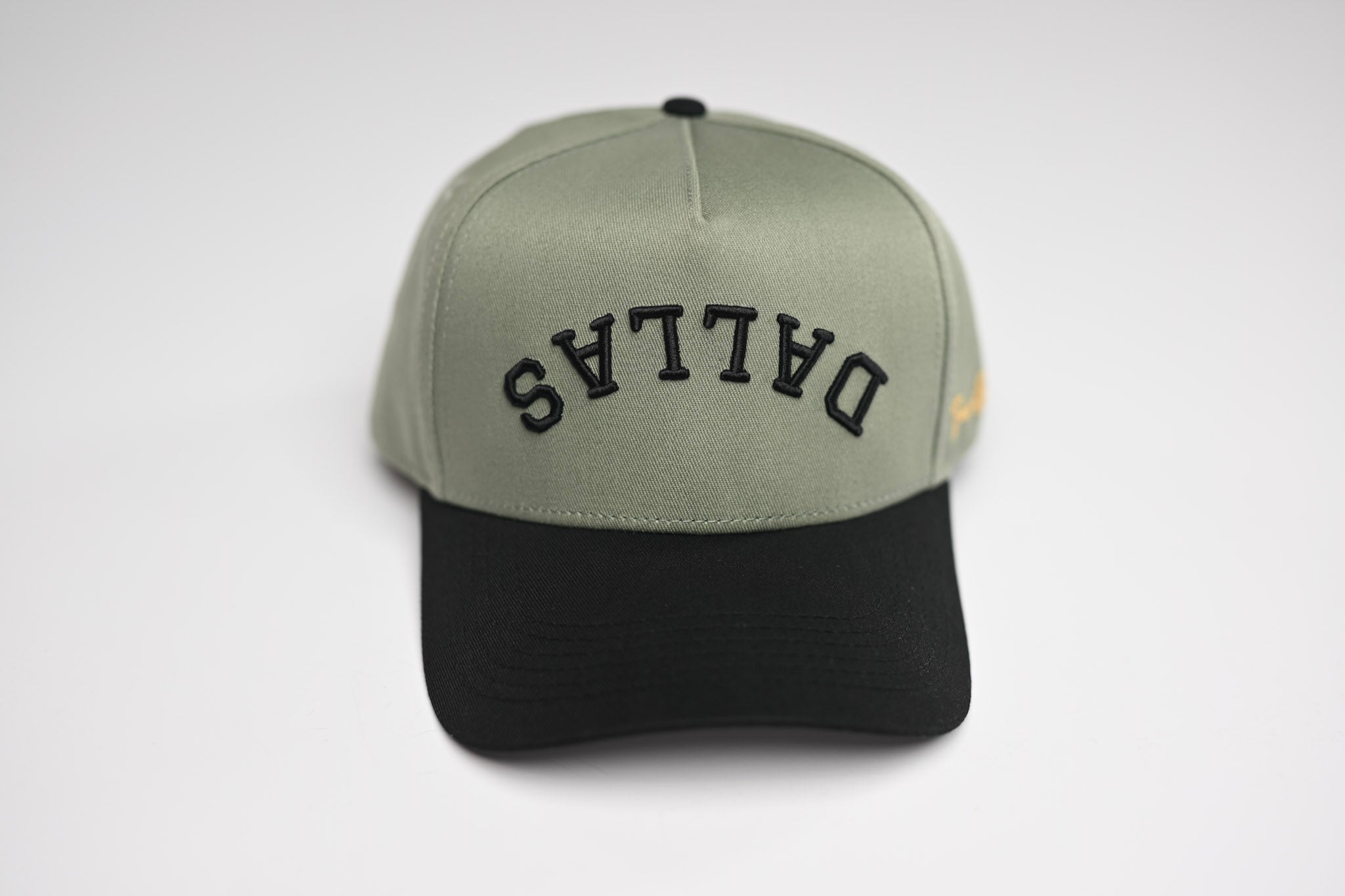 Precurved Dallas snapback - BLACK / SAGE