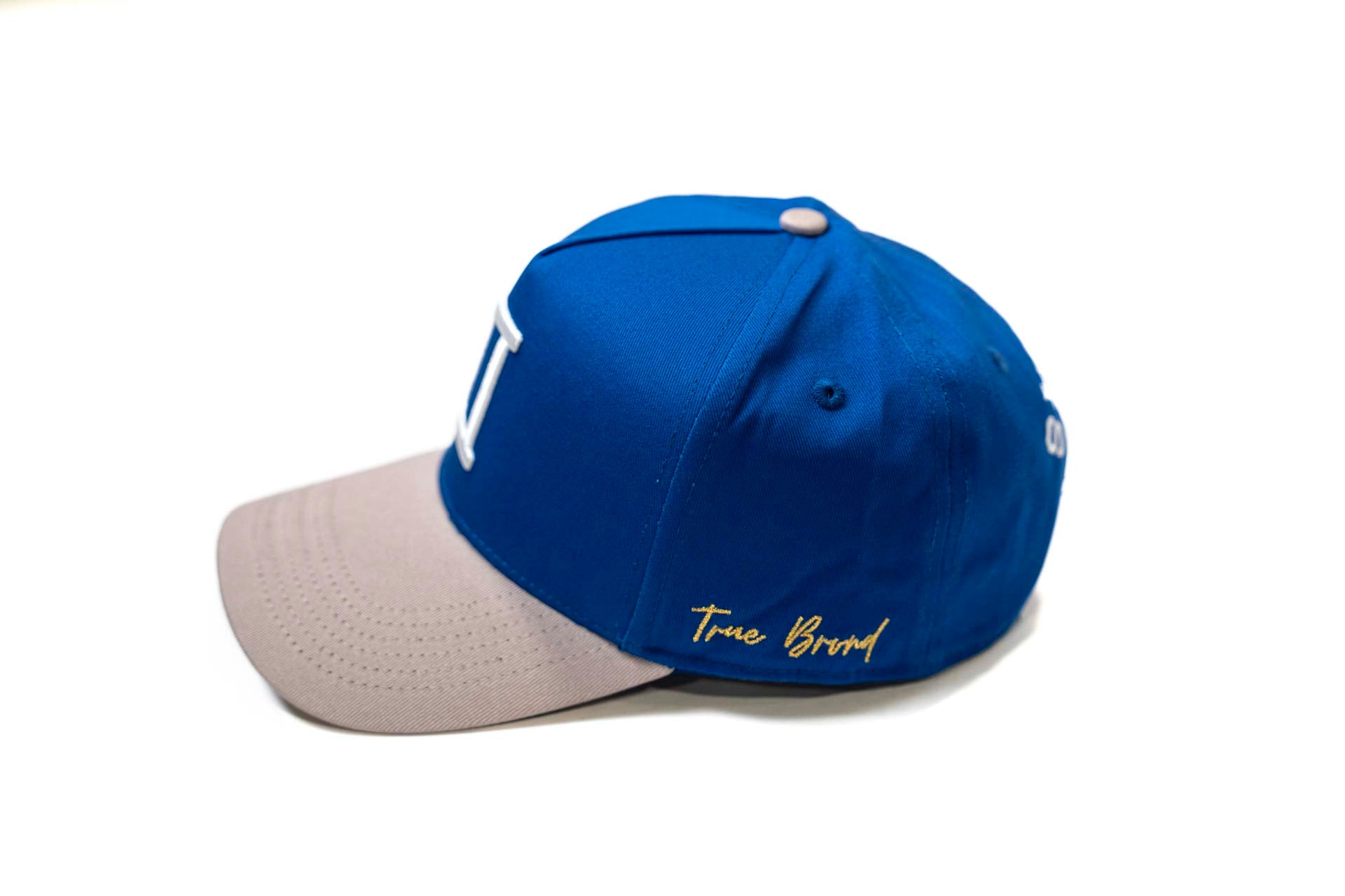 V2 Precurved snap - GRAY / ROYAL