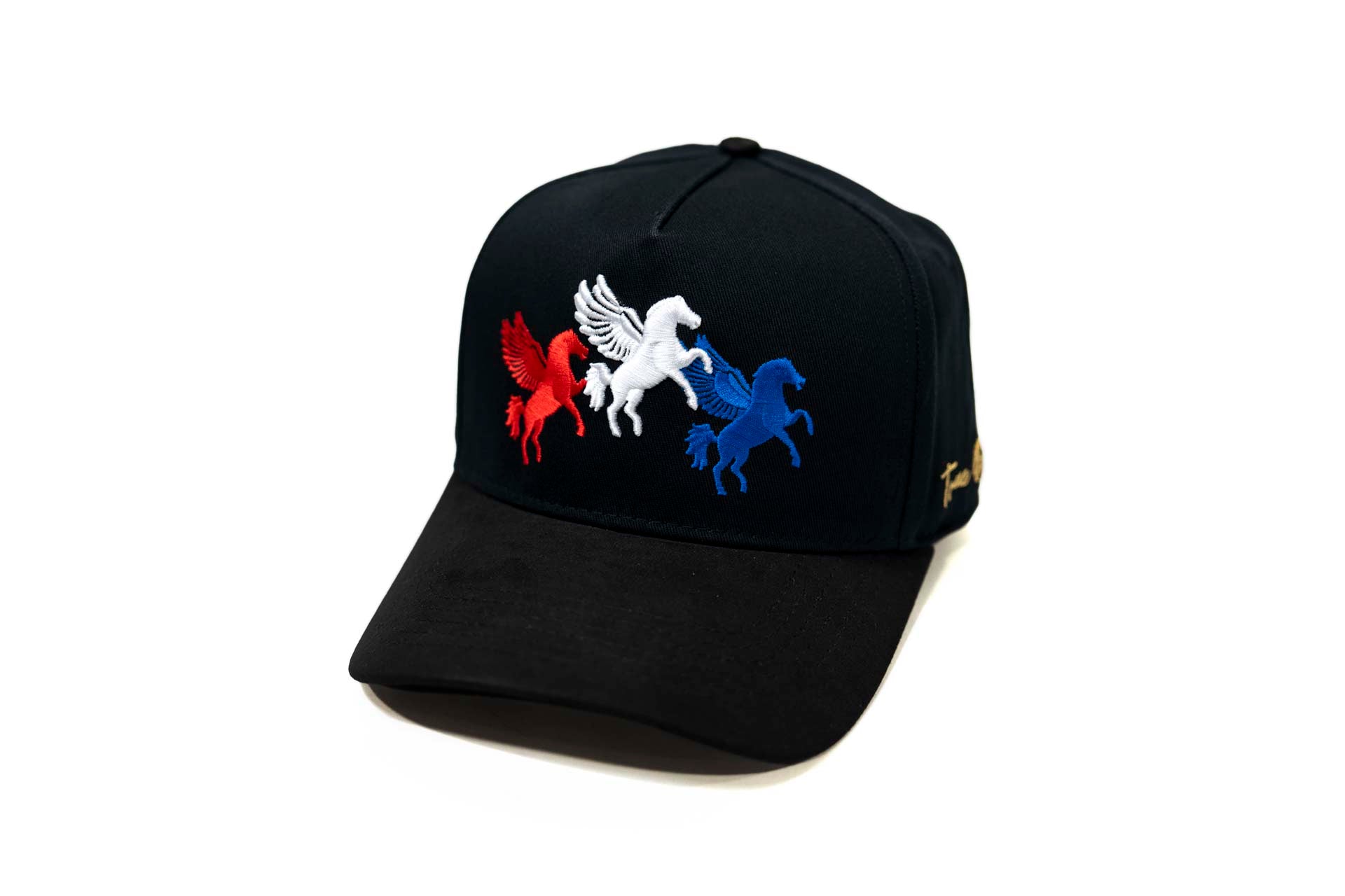3XPegasus snapback - BLACK (RWB)