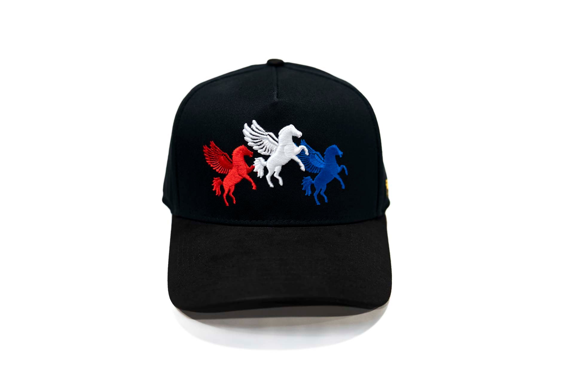 3XPegasus snapback - BLACK (RWB)