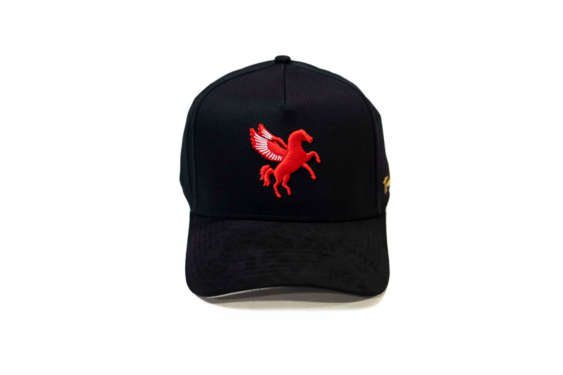 Pegasus snapback - BLACK