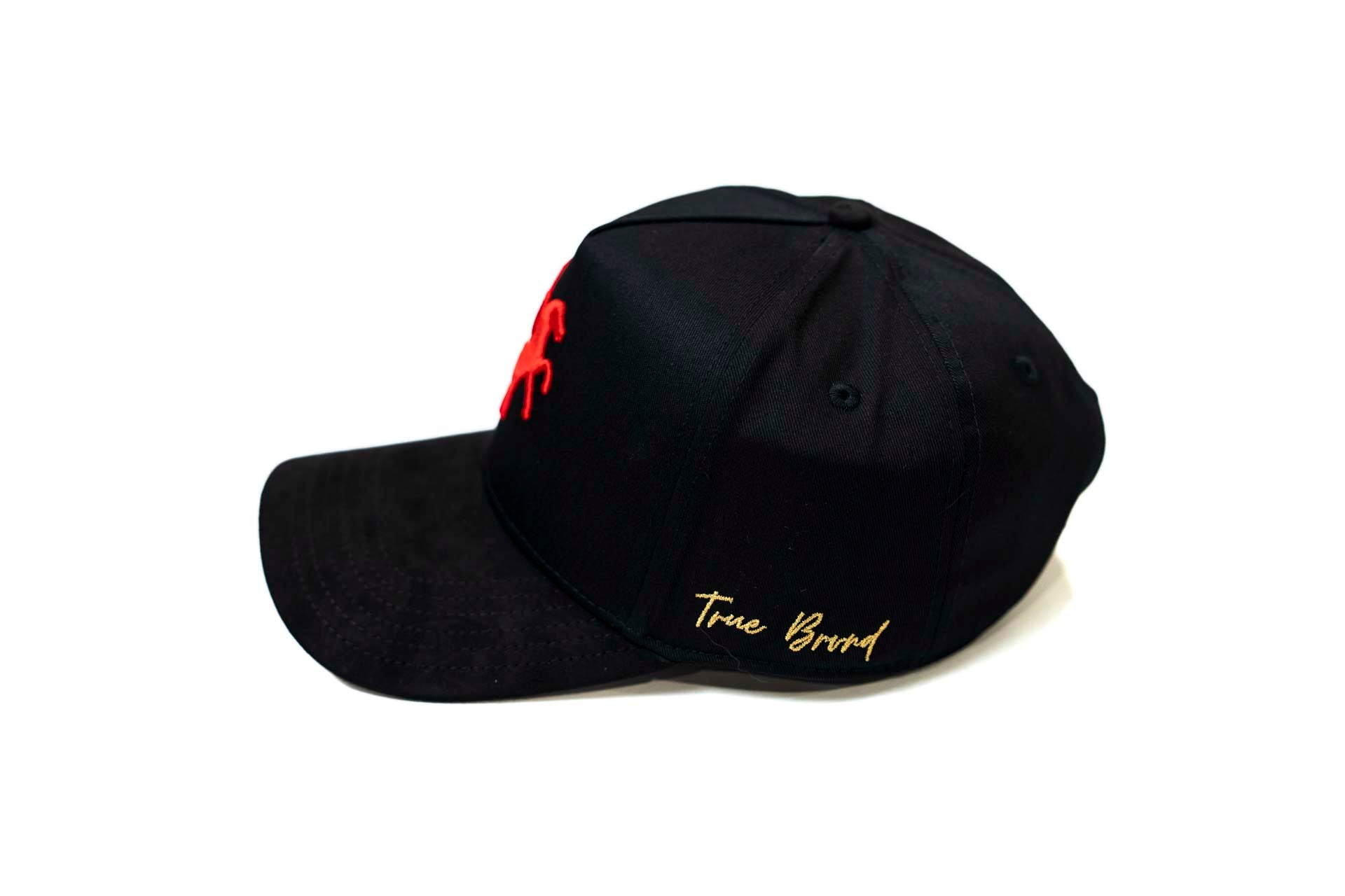 Pegasus snapback - BLACK
