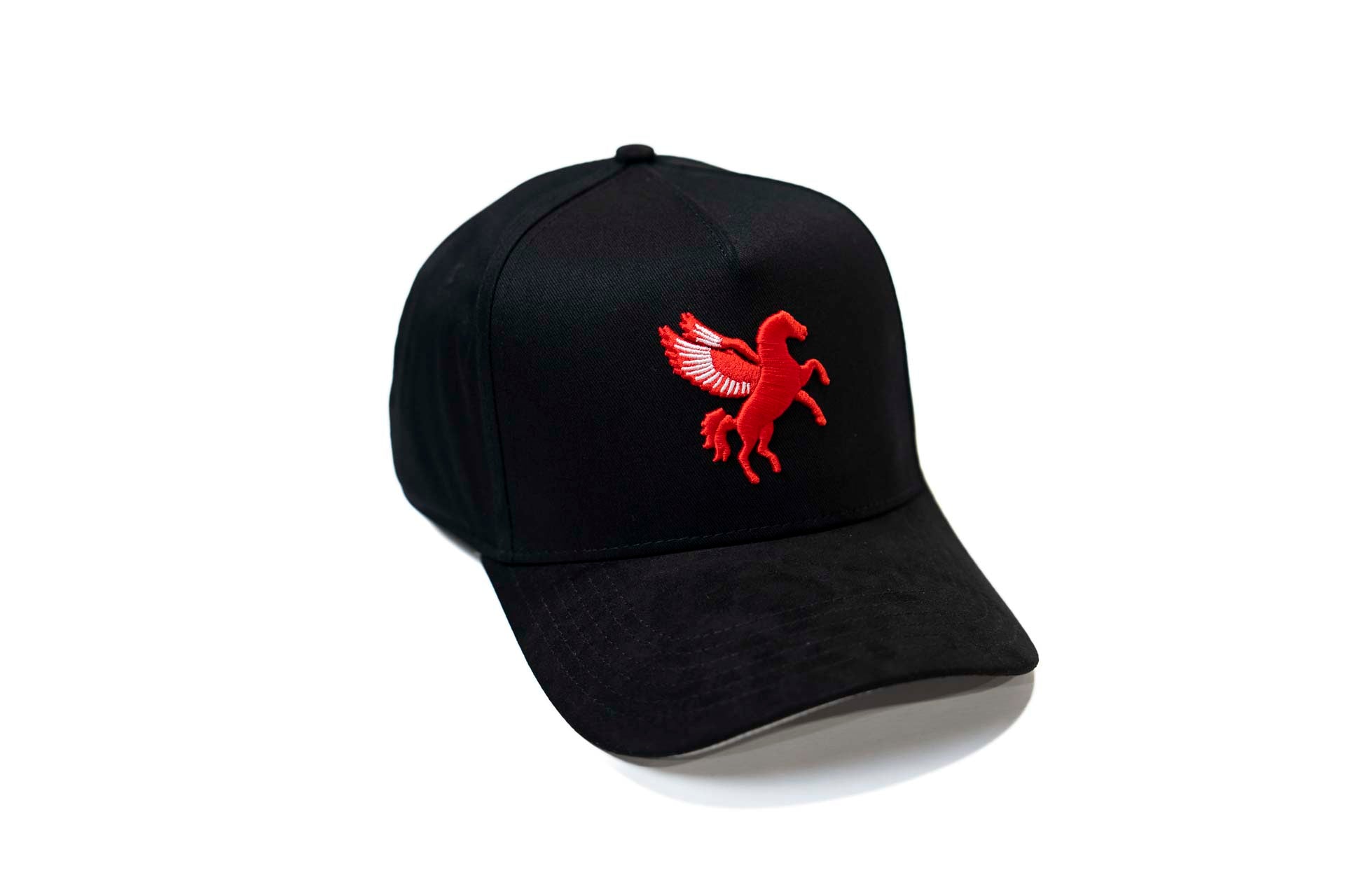 Pegasus snapback - BLACK