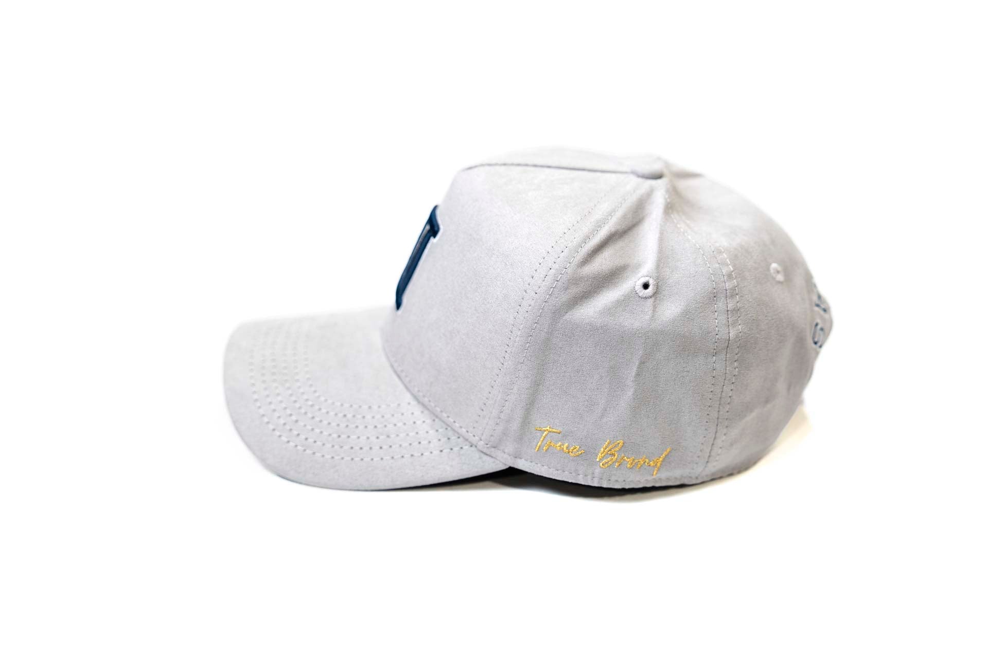 SUEDE V2 Precurved snapback - GRAY