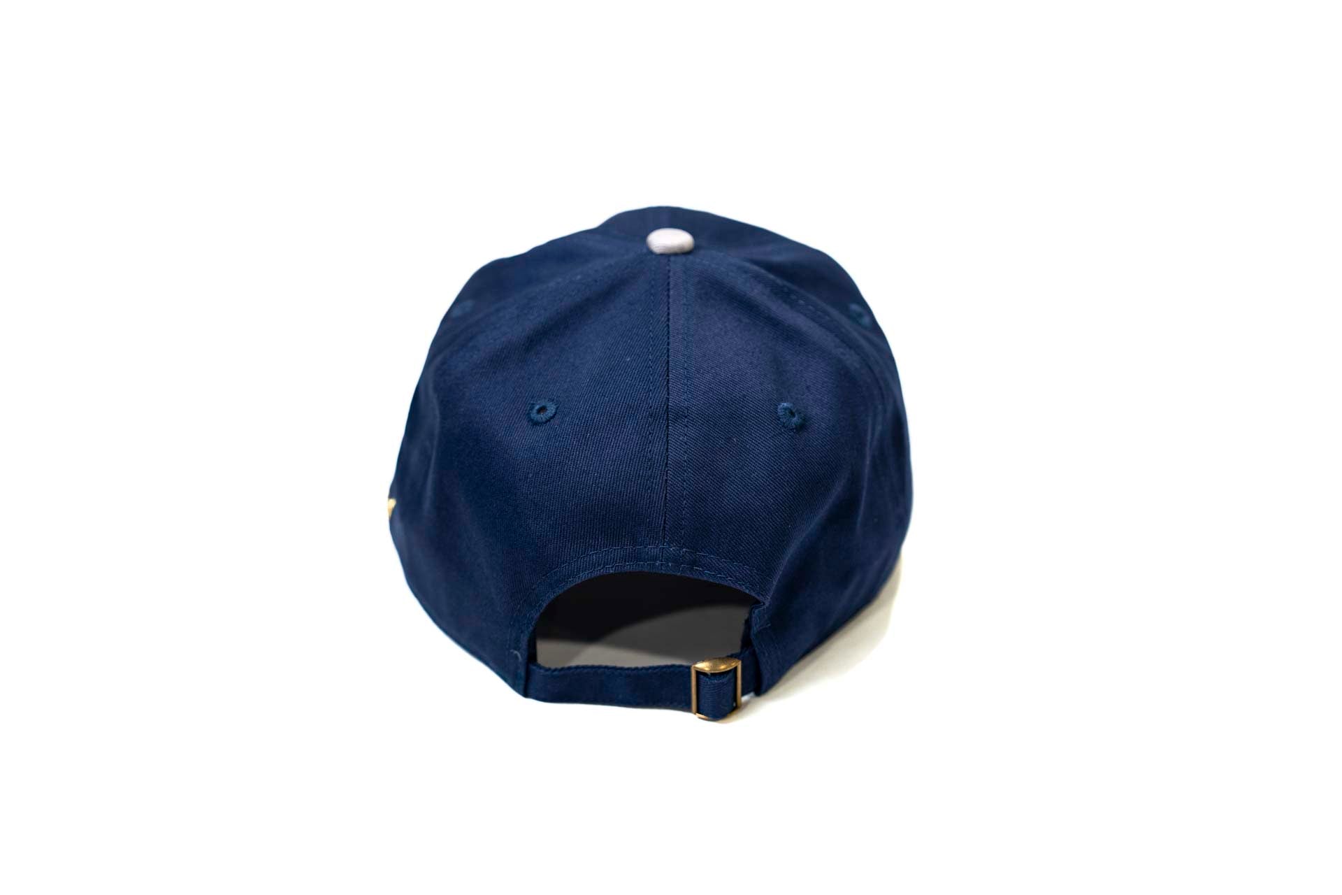 LC - Dad Hat - GRAY / NAVY