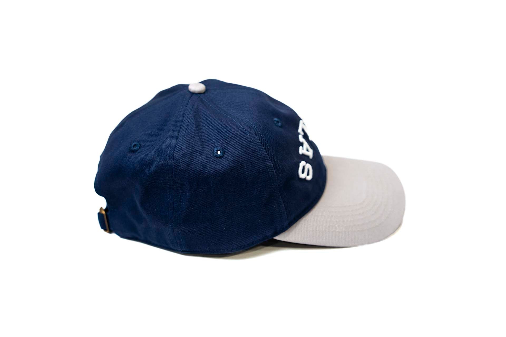 LC - Dad Hat - GRAY / NAVY