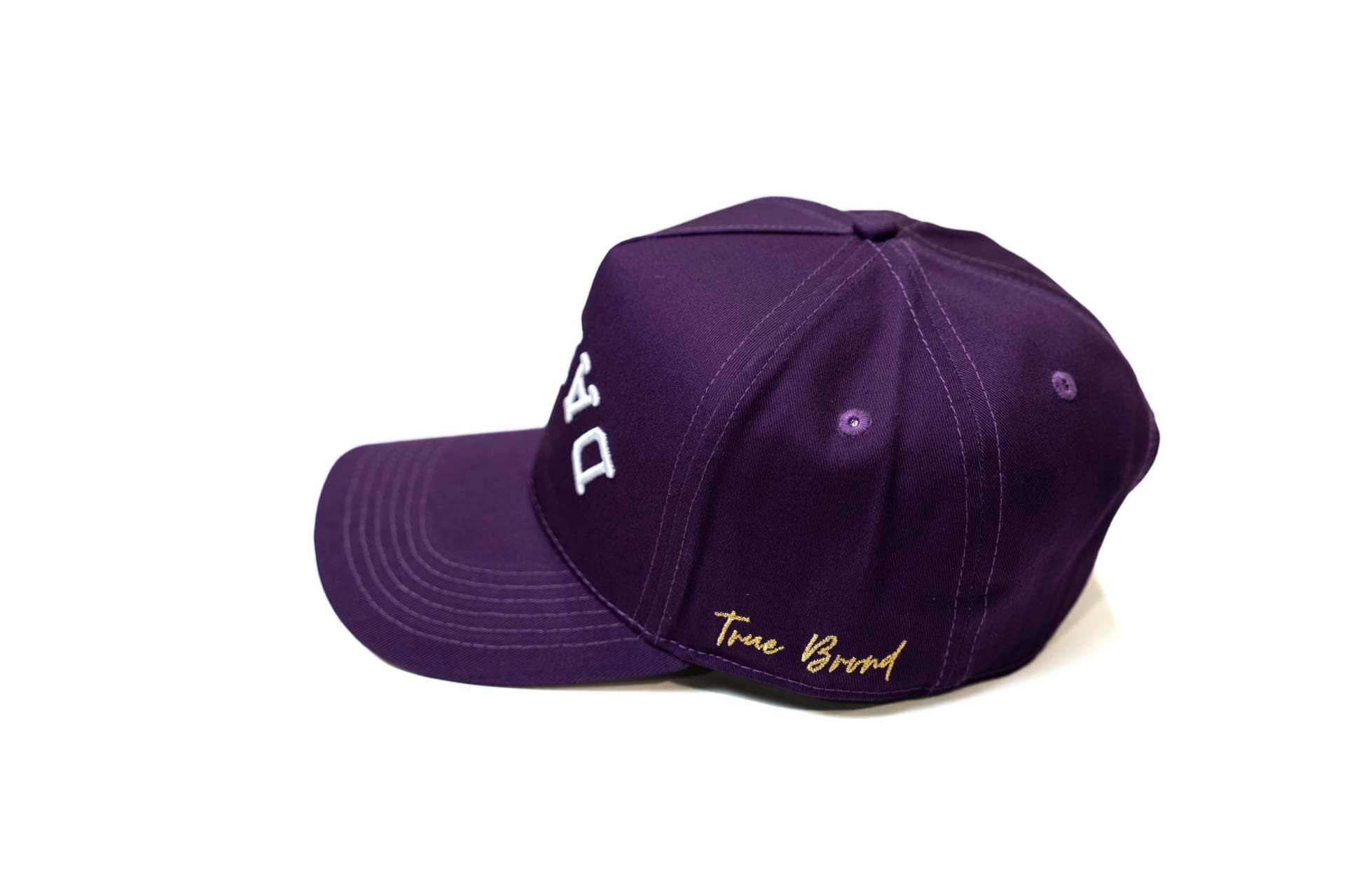 LC - Precurved Dallas snapback - PURPLE