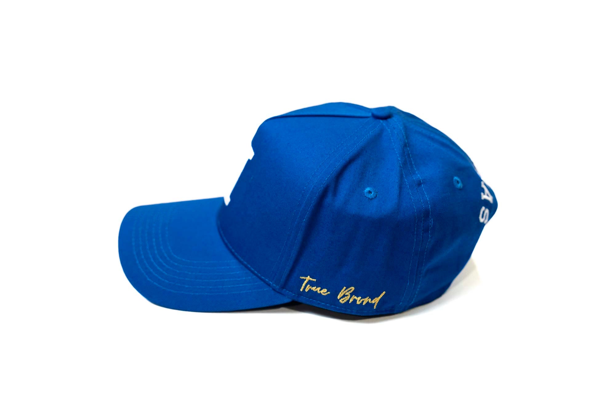 LC - V2 Precurved snapback - ROYAL