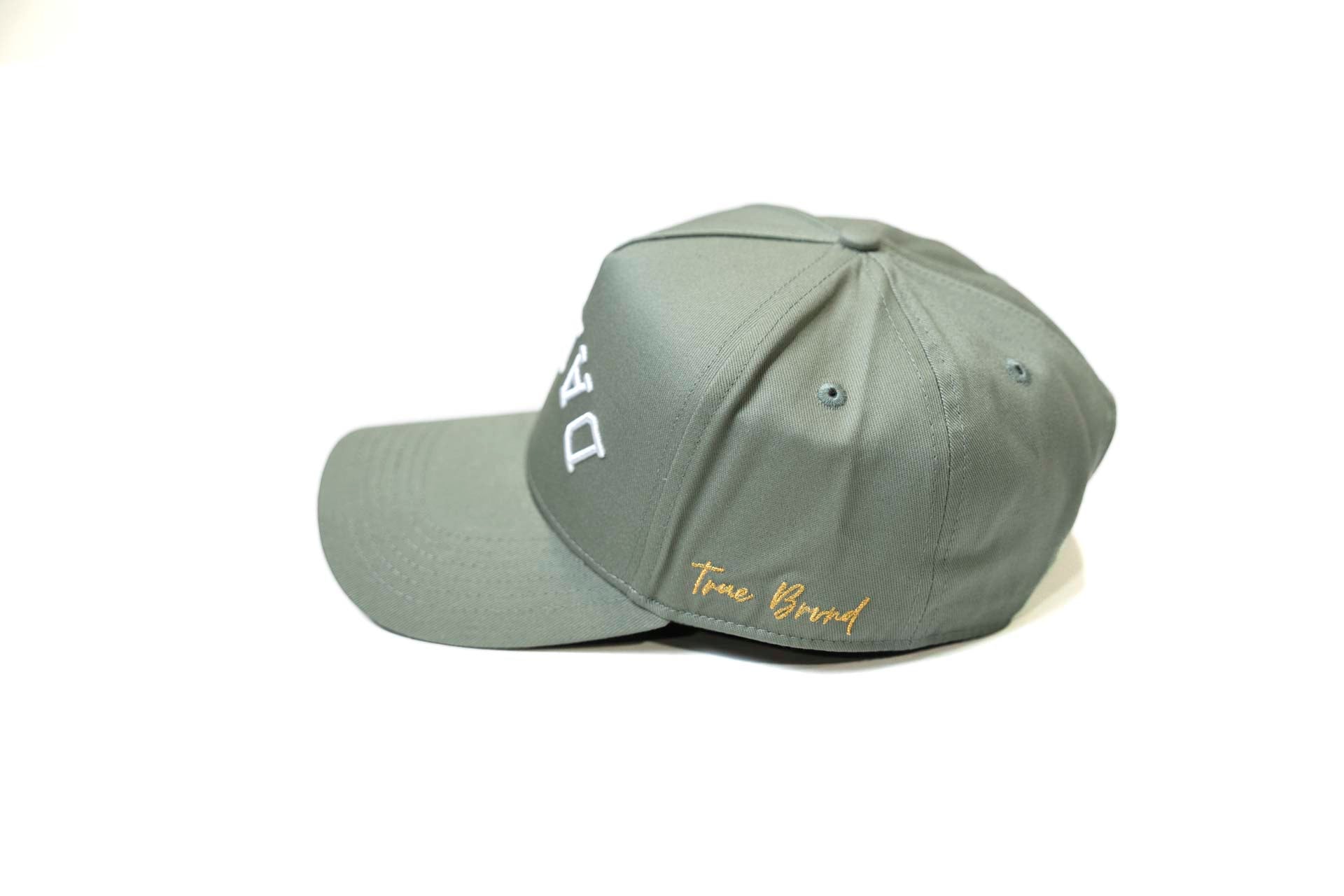 LC - Precurved Dallas snapback - SAGE