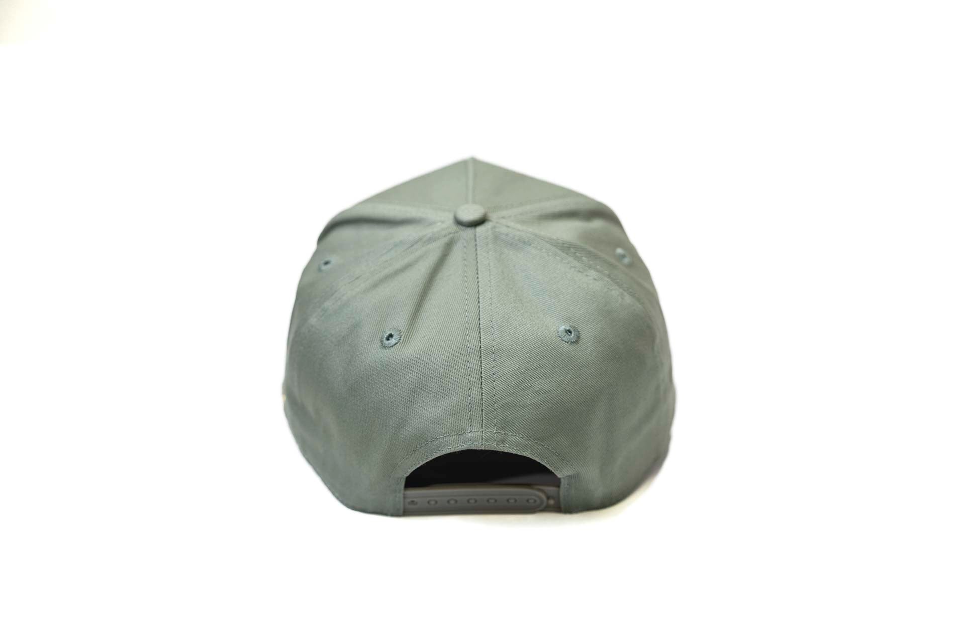 LC - Precurved Dallas snapback - SAGE