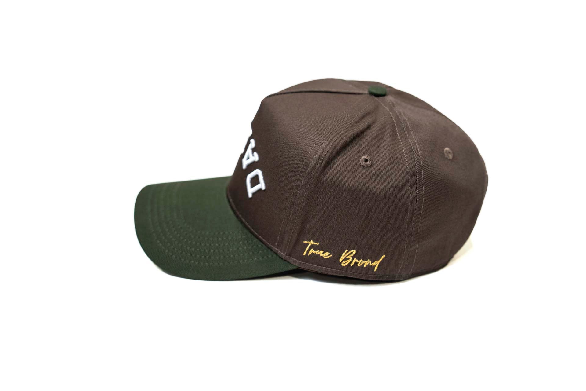 Precurved Dallas snapback - WALNUT / PINE