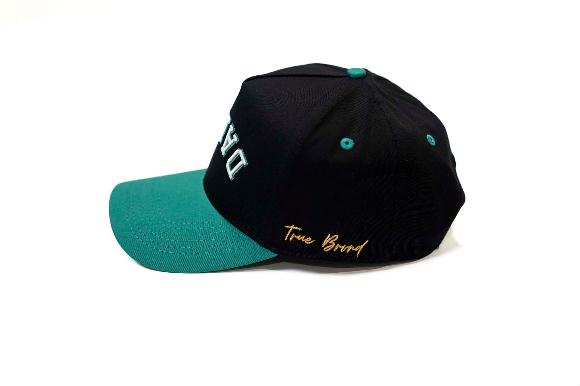 Precurved Dallas snapback - EUCALYPTUS / BLACK