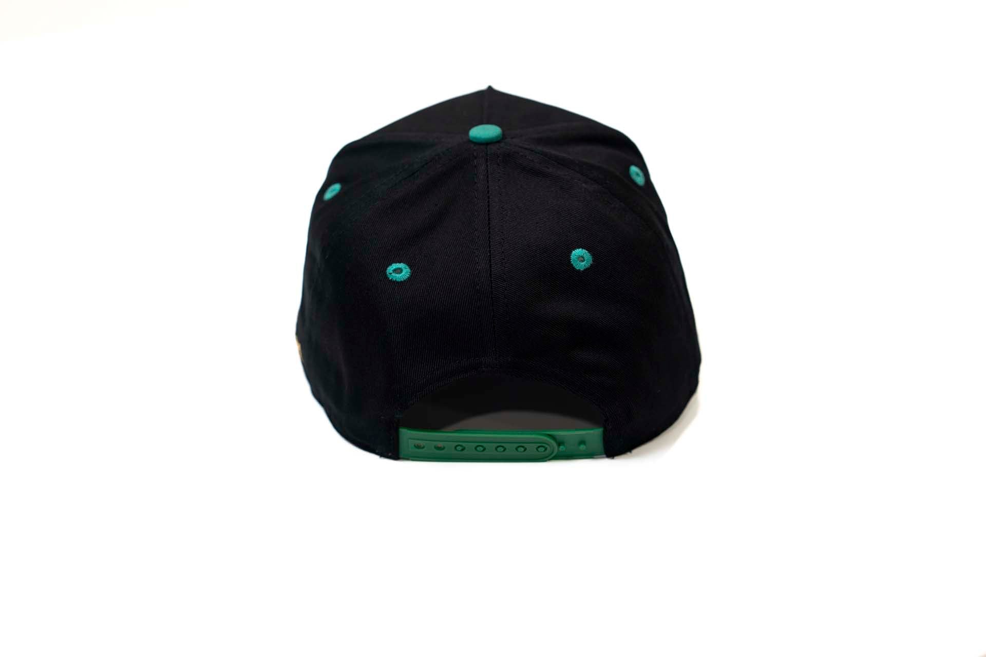 Precurved Dallas snapback - EUCALYPTUS / BLACK