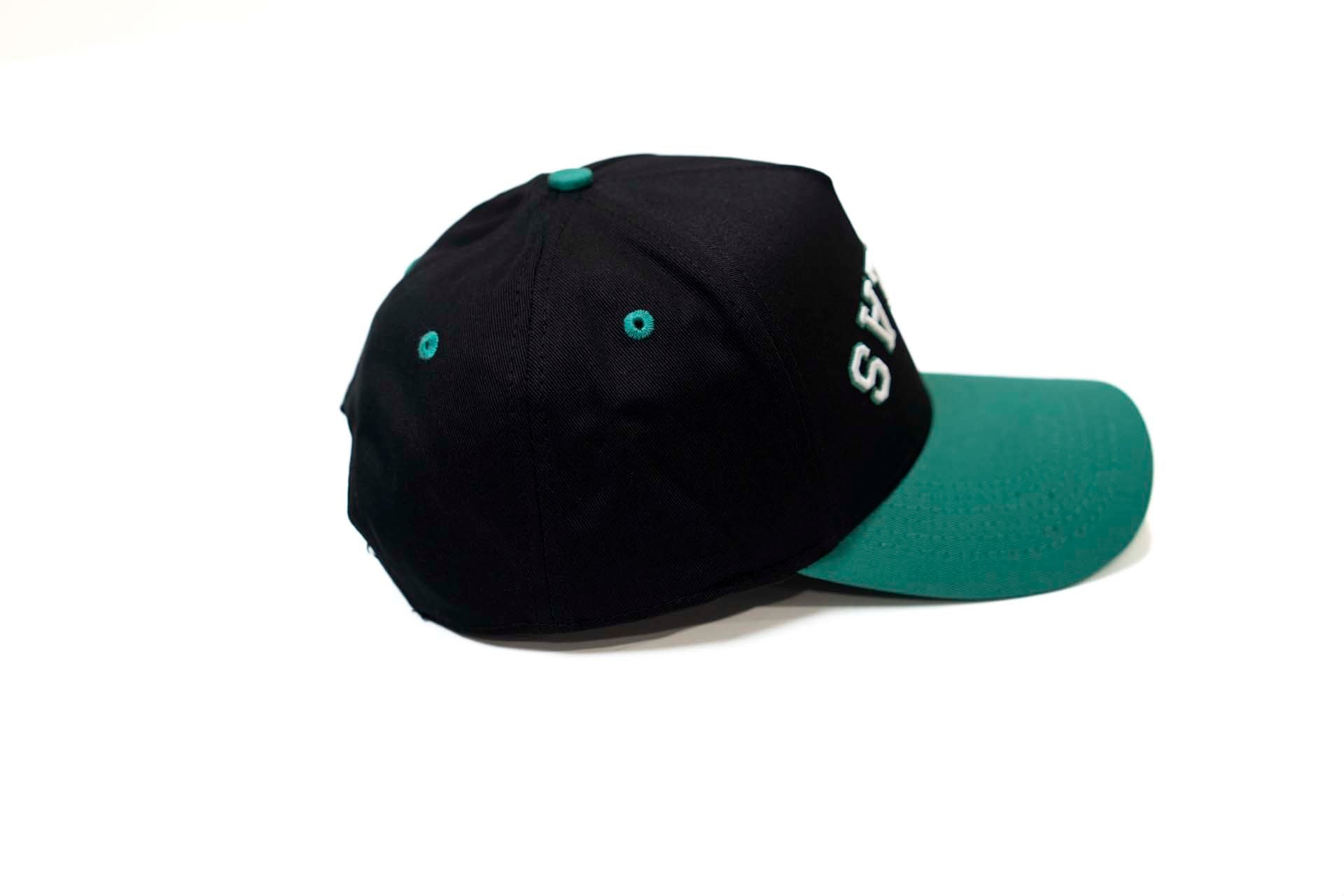 Precurved Dallas snapback - EUCALYPTUS / BLACK