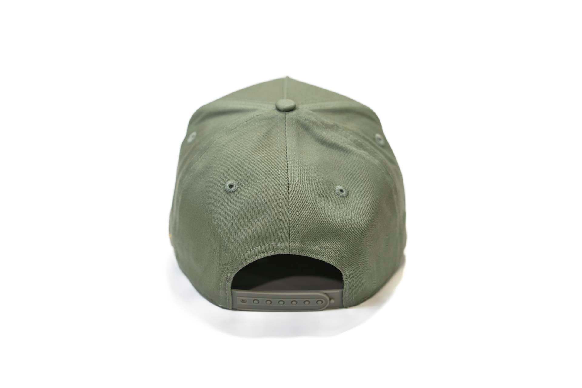 Precurved Dallas snapback - SAGE