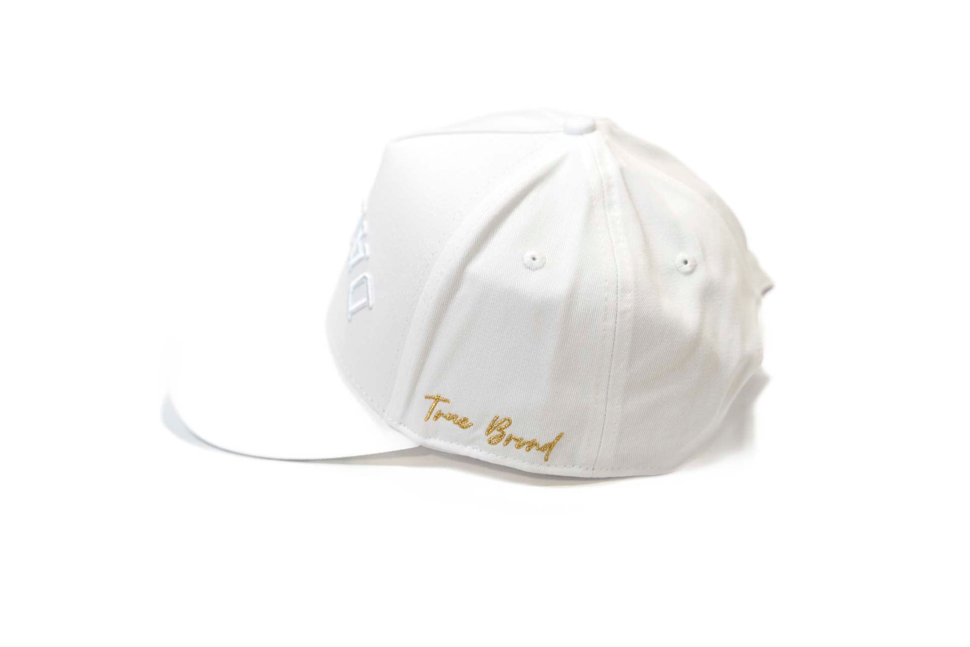Precurved Dallas snapback - TONAL WHITE