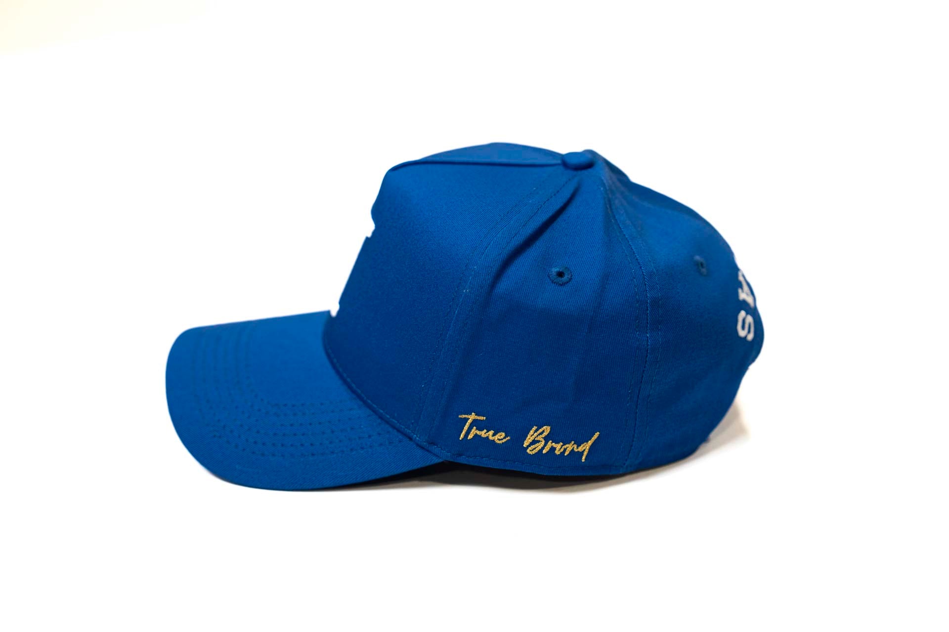 V2 Precurved snapback - ROYAL