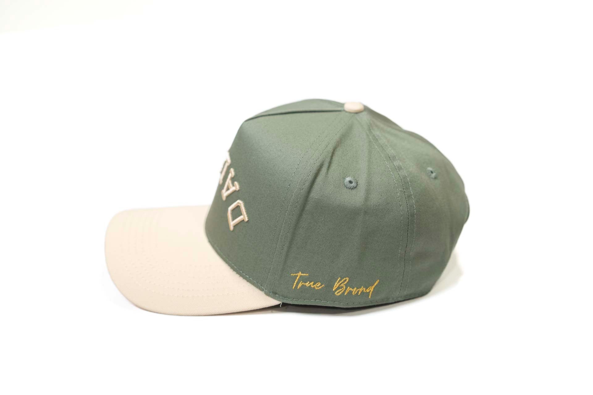 Precurved Dallas snapback - OFFWHITE / SAGE