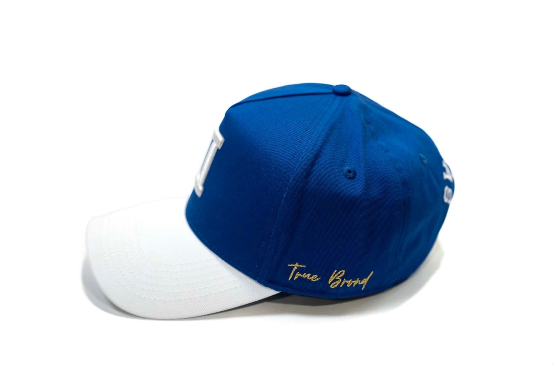 V2 Precurved snap - WHITE / ROYAL