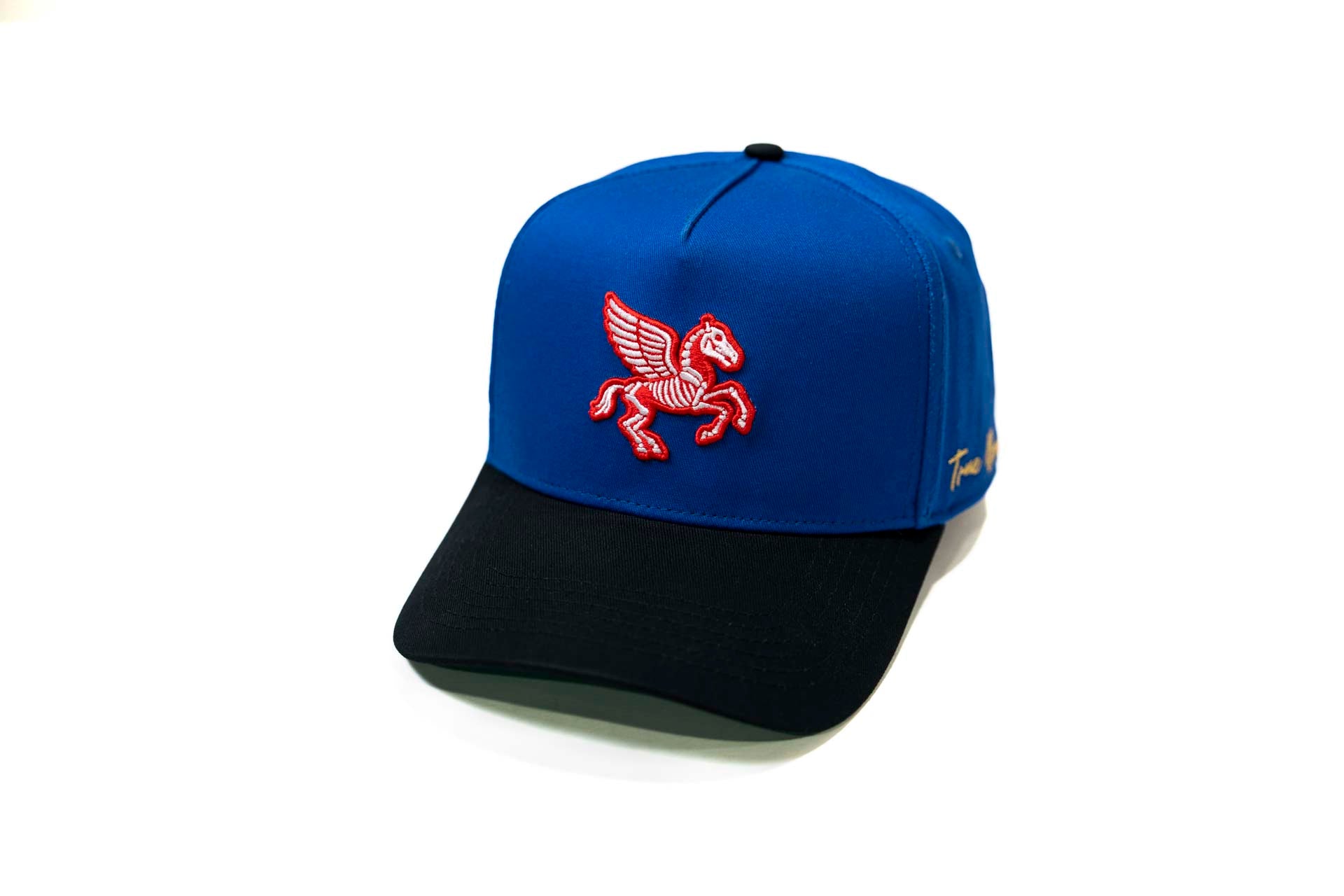 " Carcass " - BLACK / ROYAL