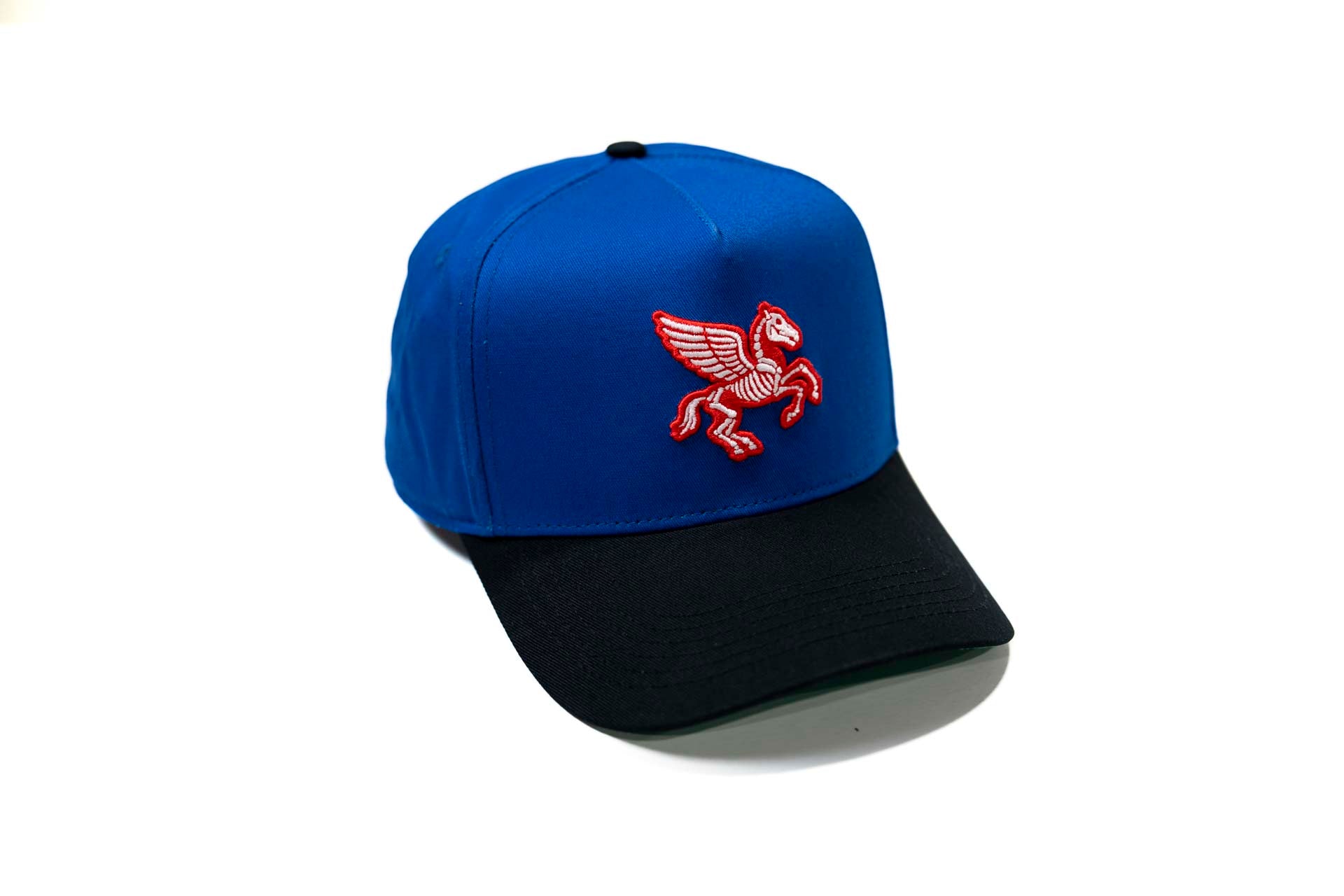 " Carcass " - BLACK / ROYAL