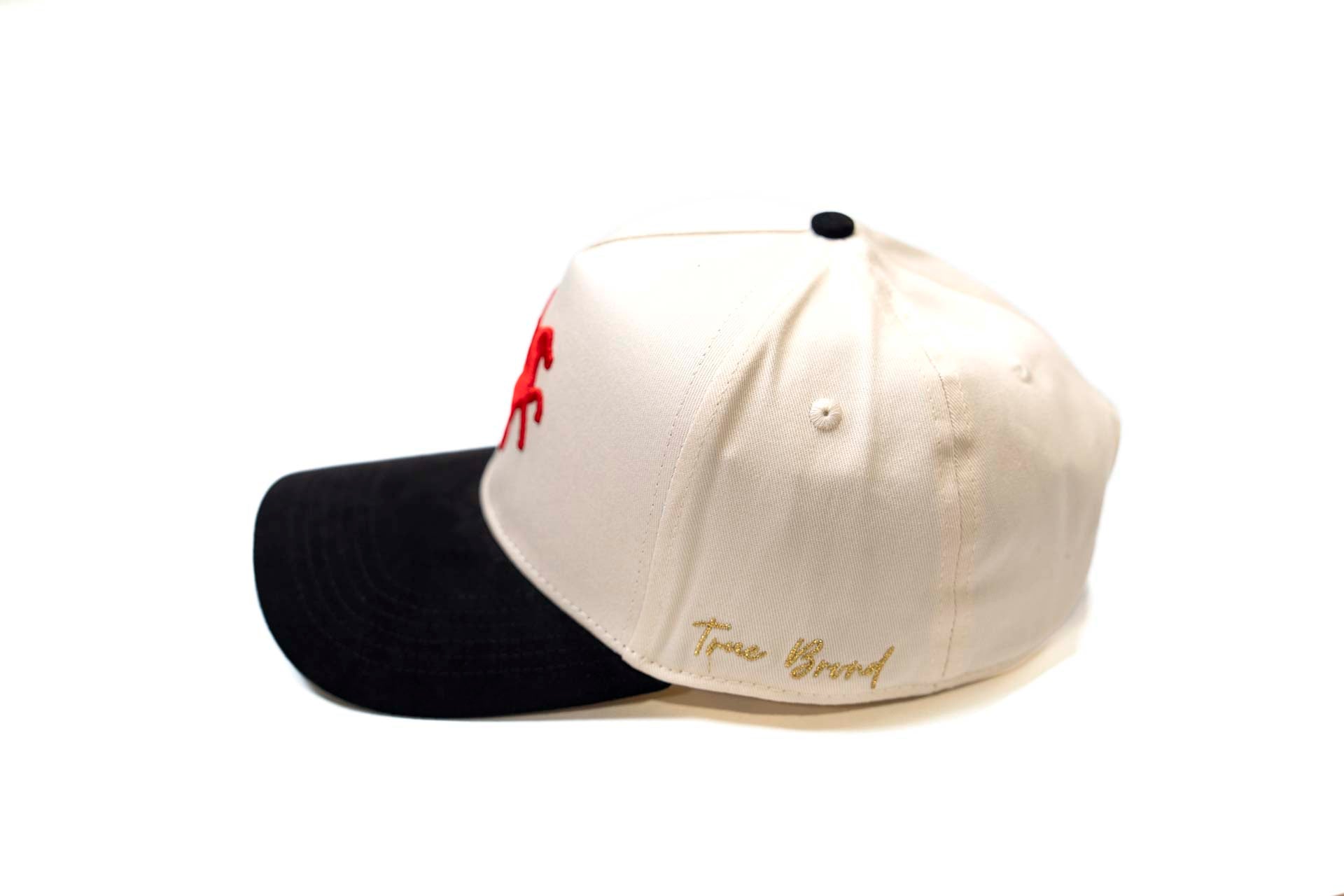 Pegasus snapback - BLACK / OFFWHITE