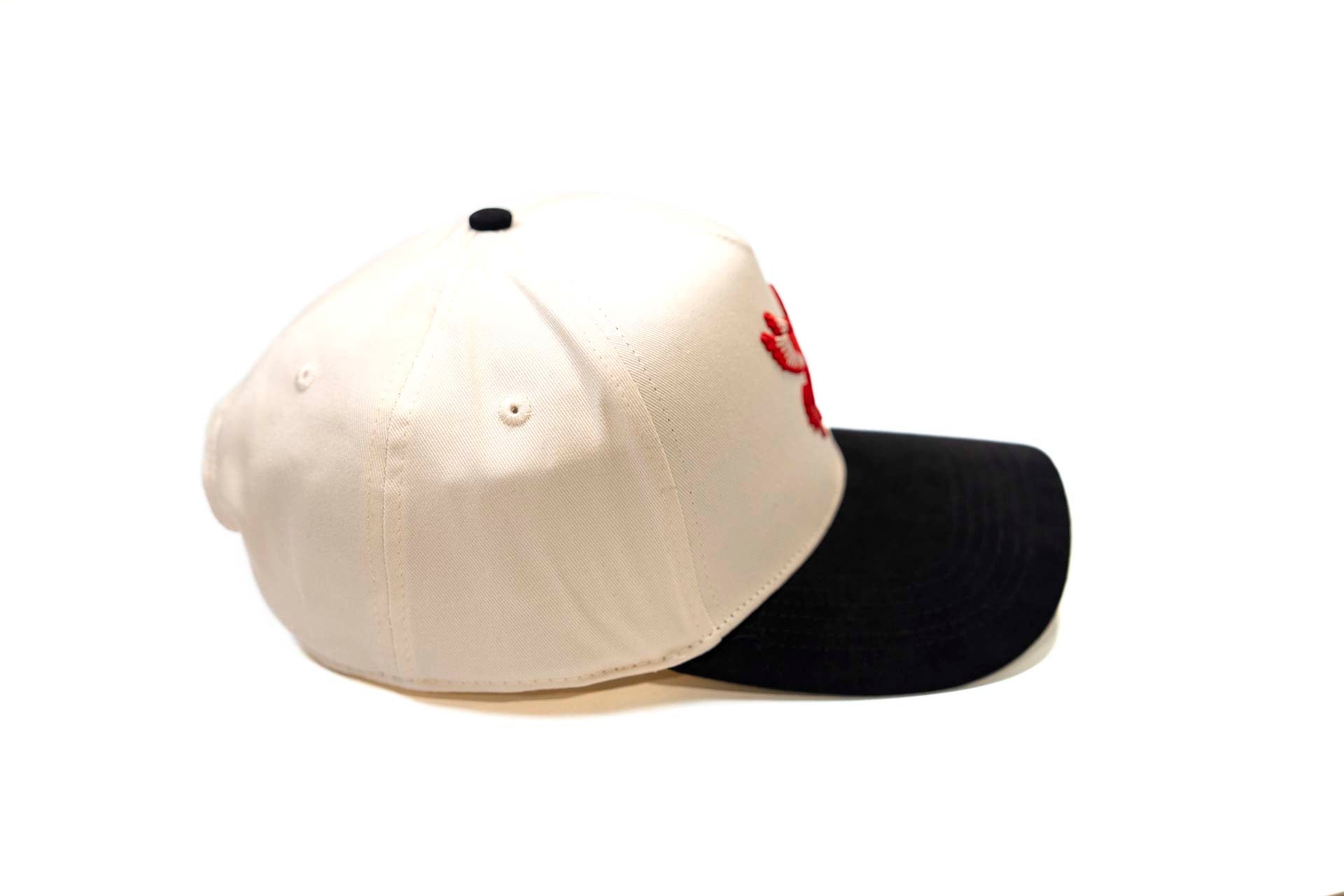 Pegasus snapback - BLACK / OFFWHITE
