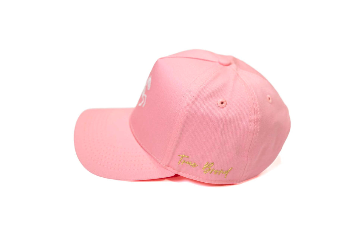 Pegasus "Carcass" Snapback - PINK (YOUTH) (GLOW IN THE DARK)