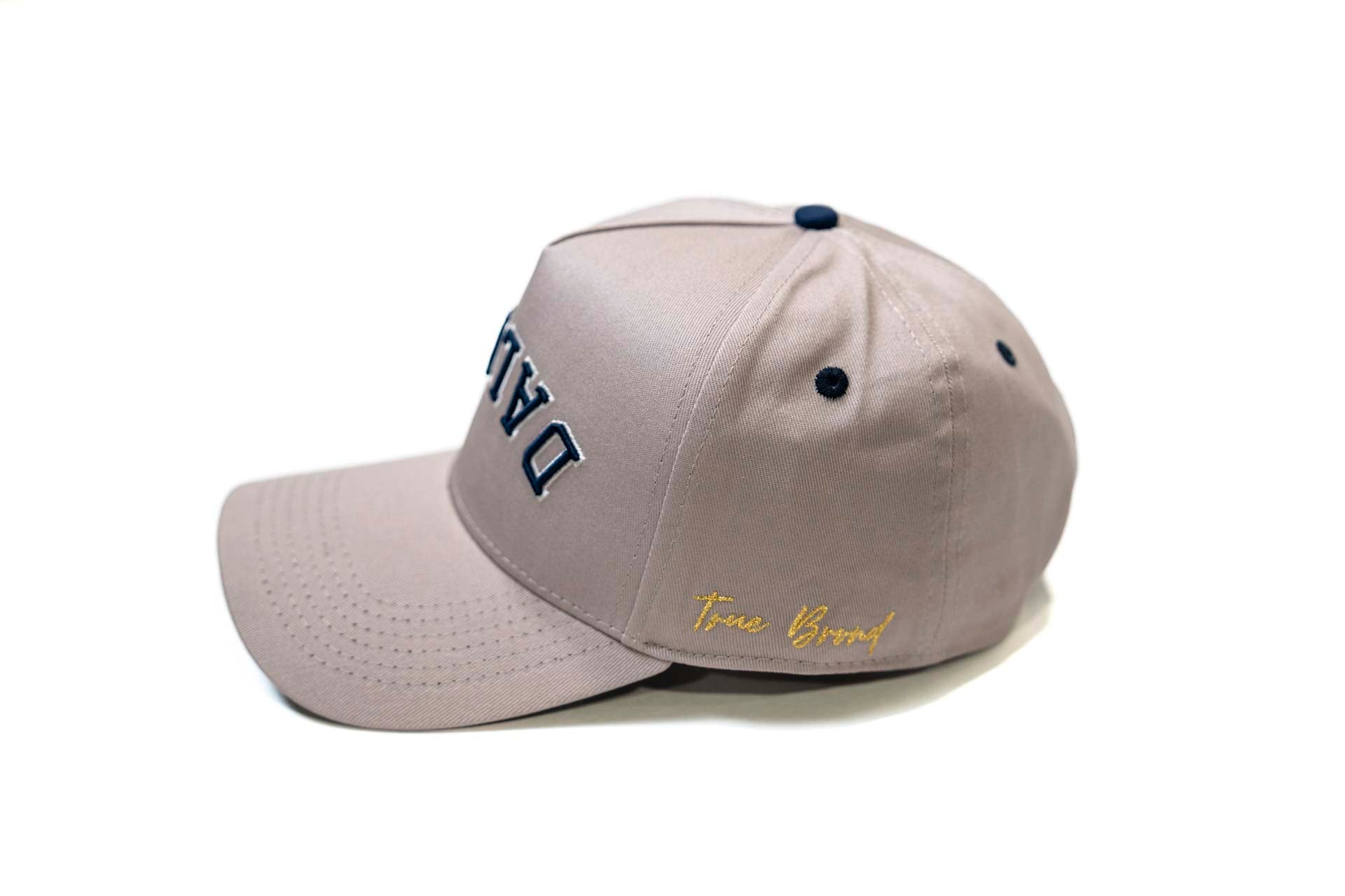 Precurved Dallas snapback - GRAY w/ navy accents