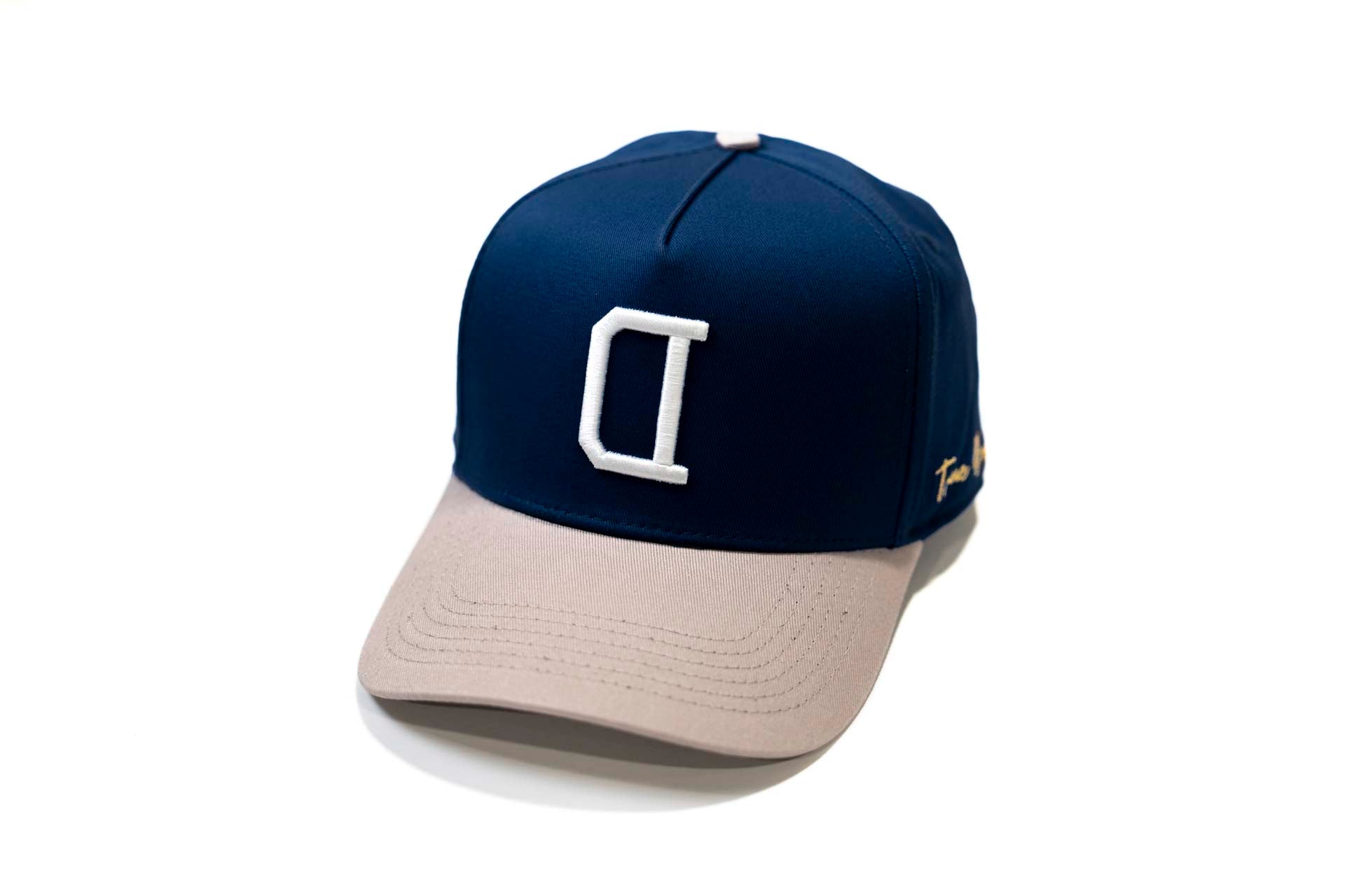 V2 Precurved snapback - GRAY / NAVY