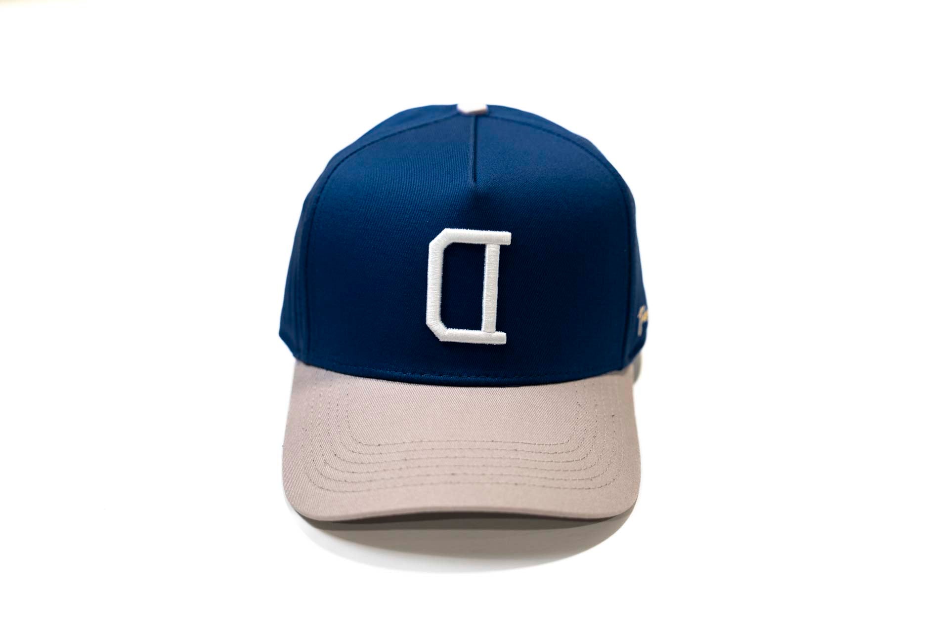 V2 Precurved snapback - GRAY / NAVY