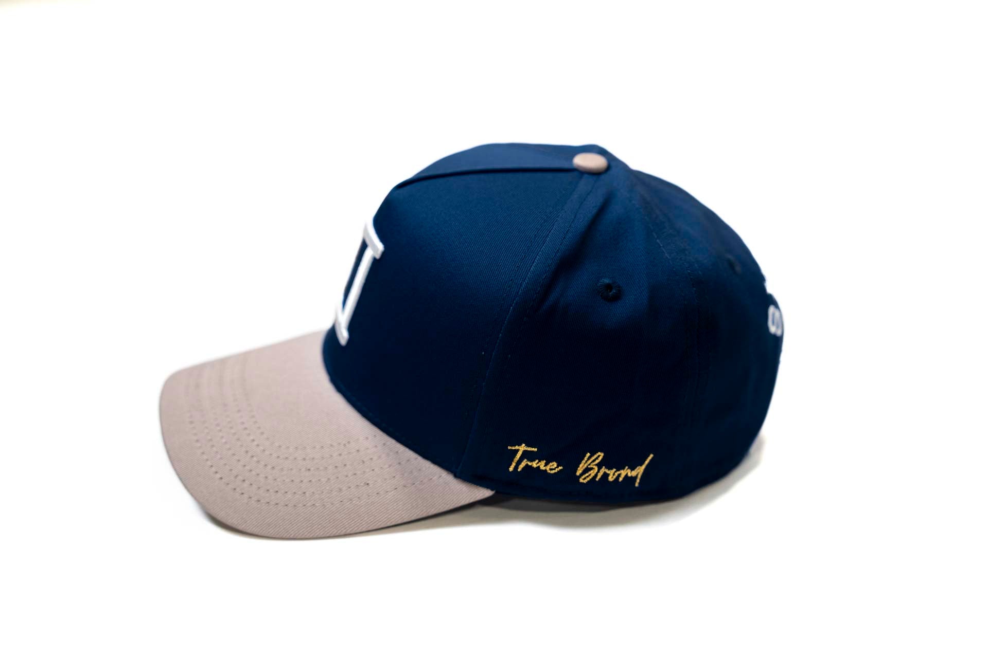 V2 Precurved snapback - GRAY / NAVY