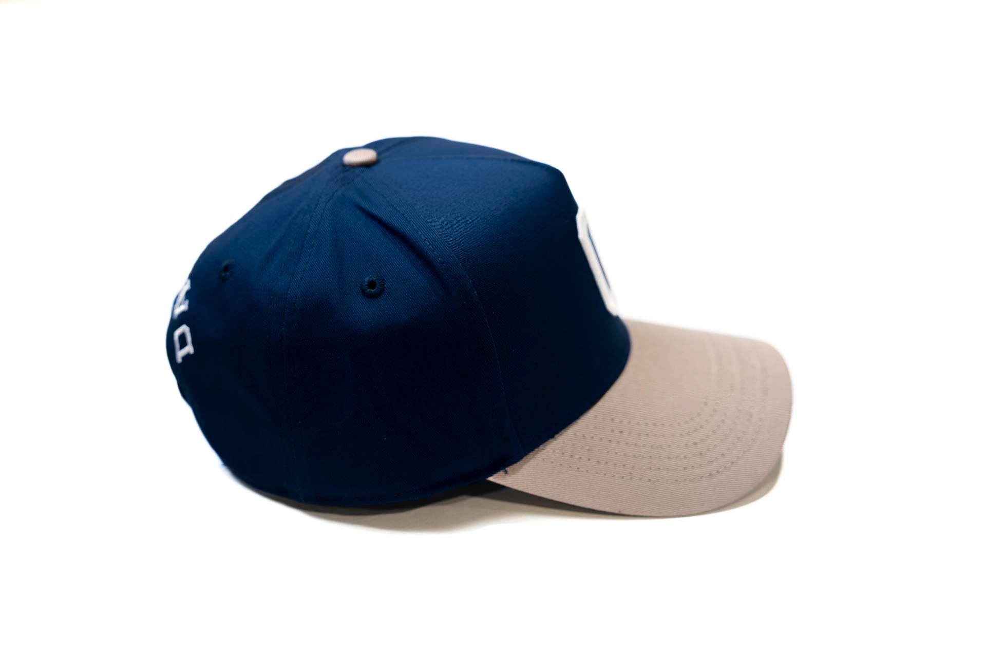 V2 Precurved snapback - GRAY / NAVY