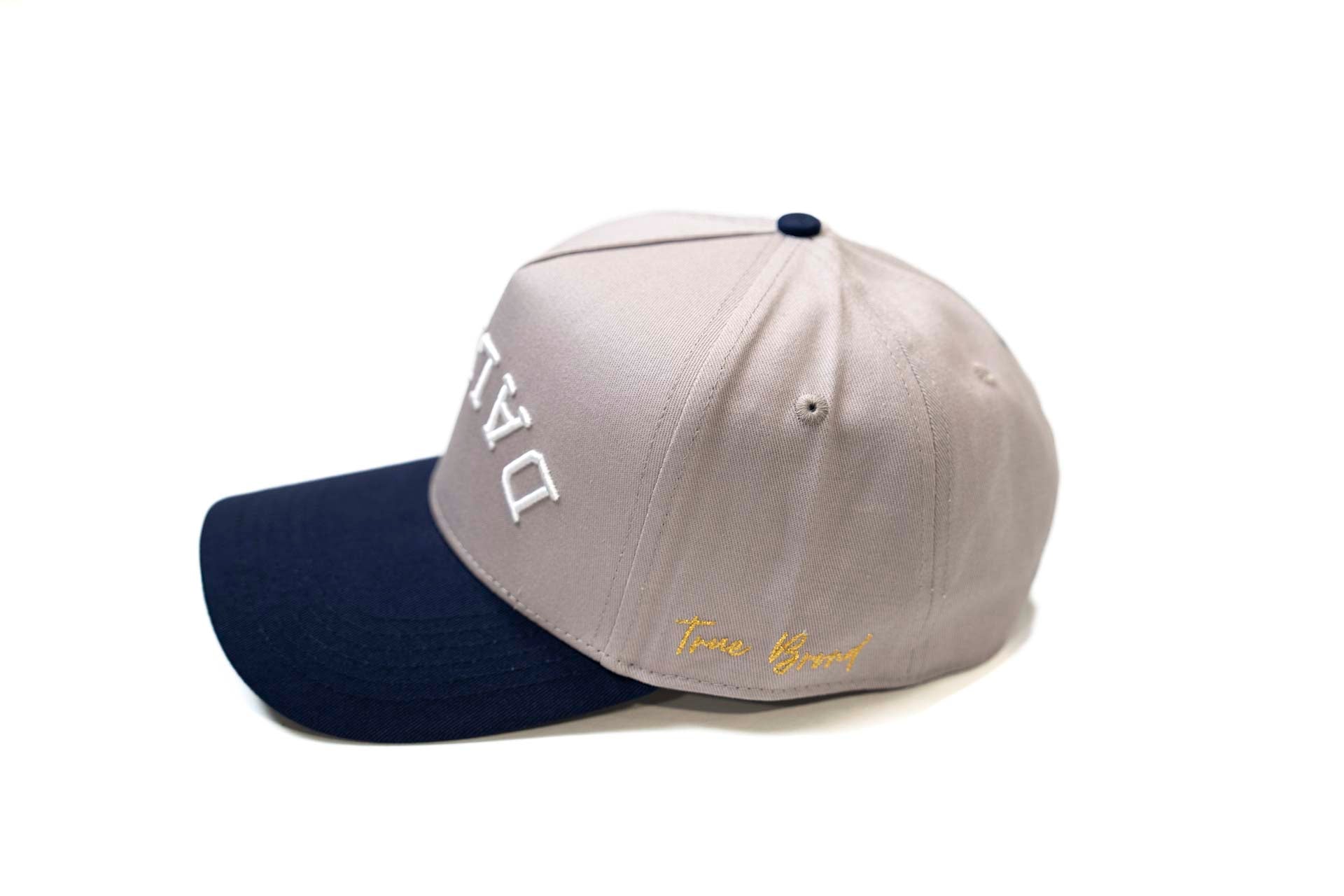 Precurved Dallas snapback - NAVY / GRAY