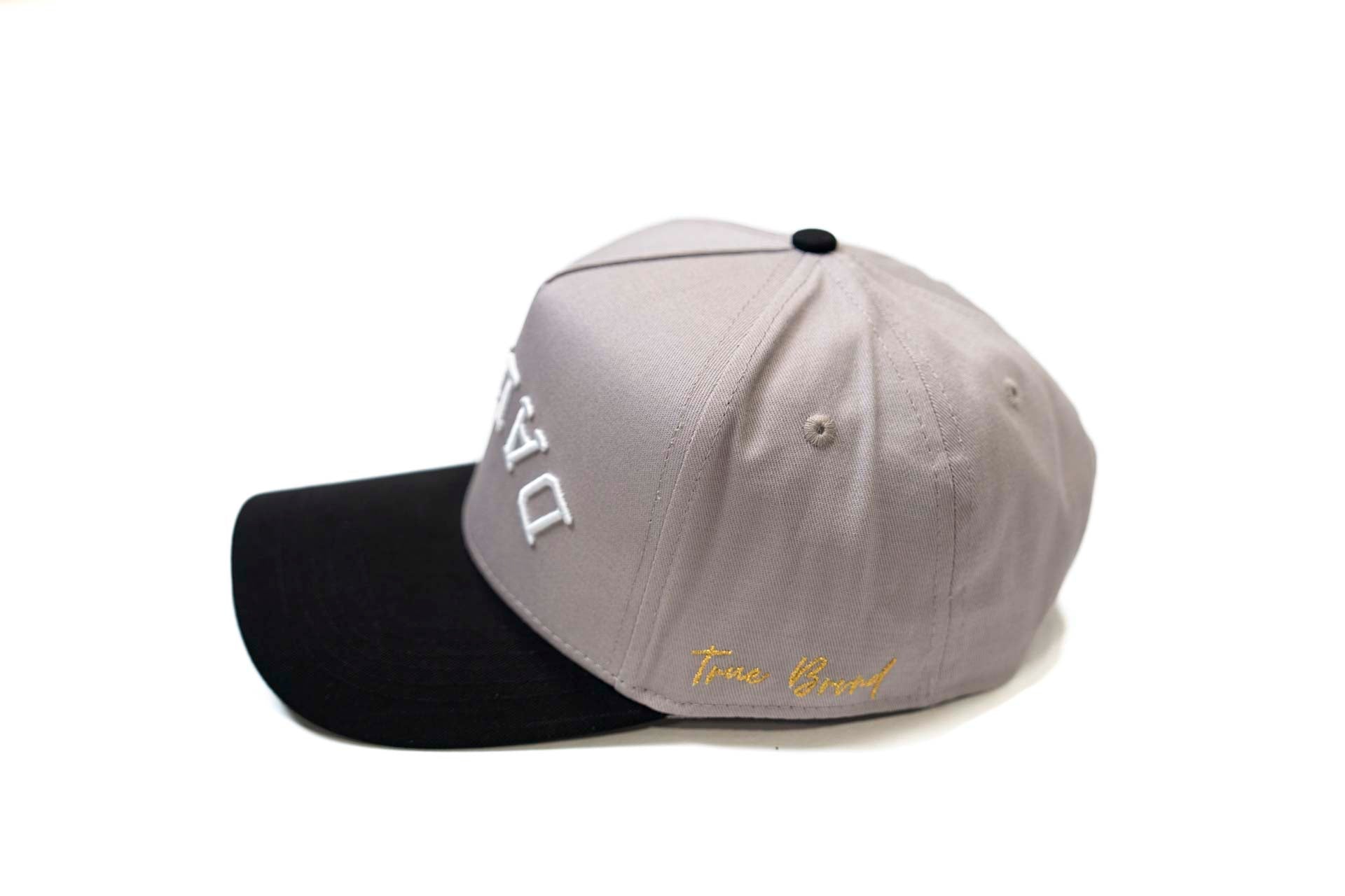 Precurved Dallas snapback - BLACK / GRAY