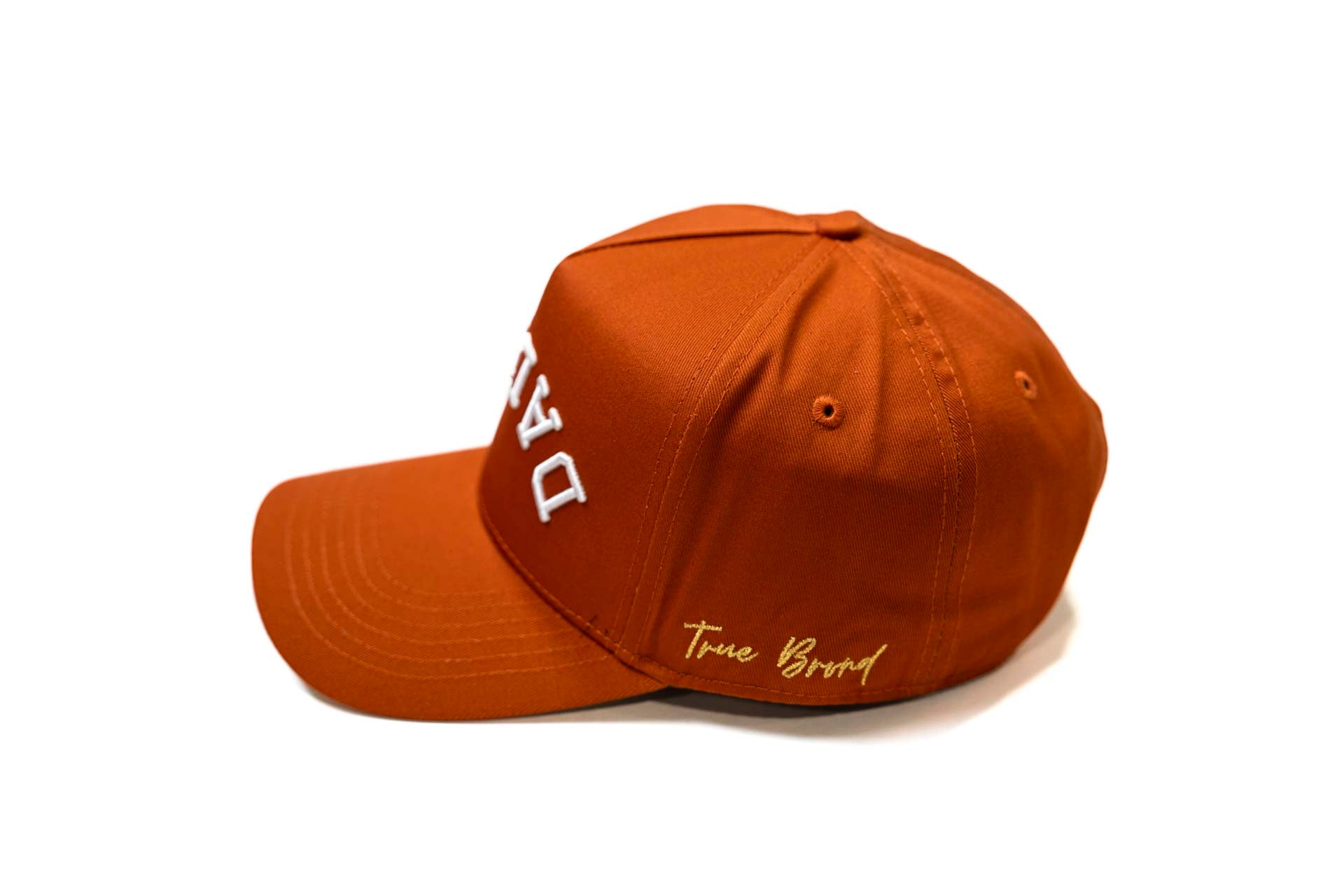 Precurved Dallas snapback - RUST