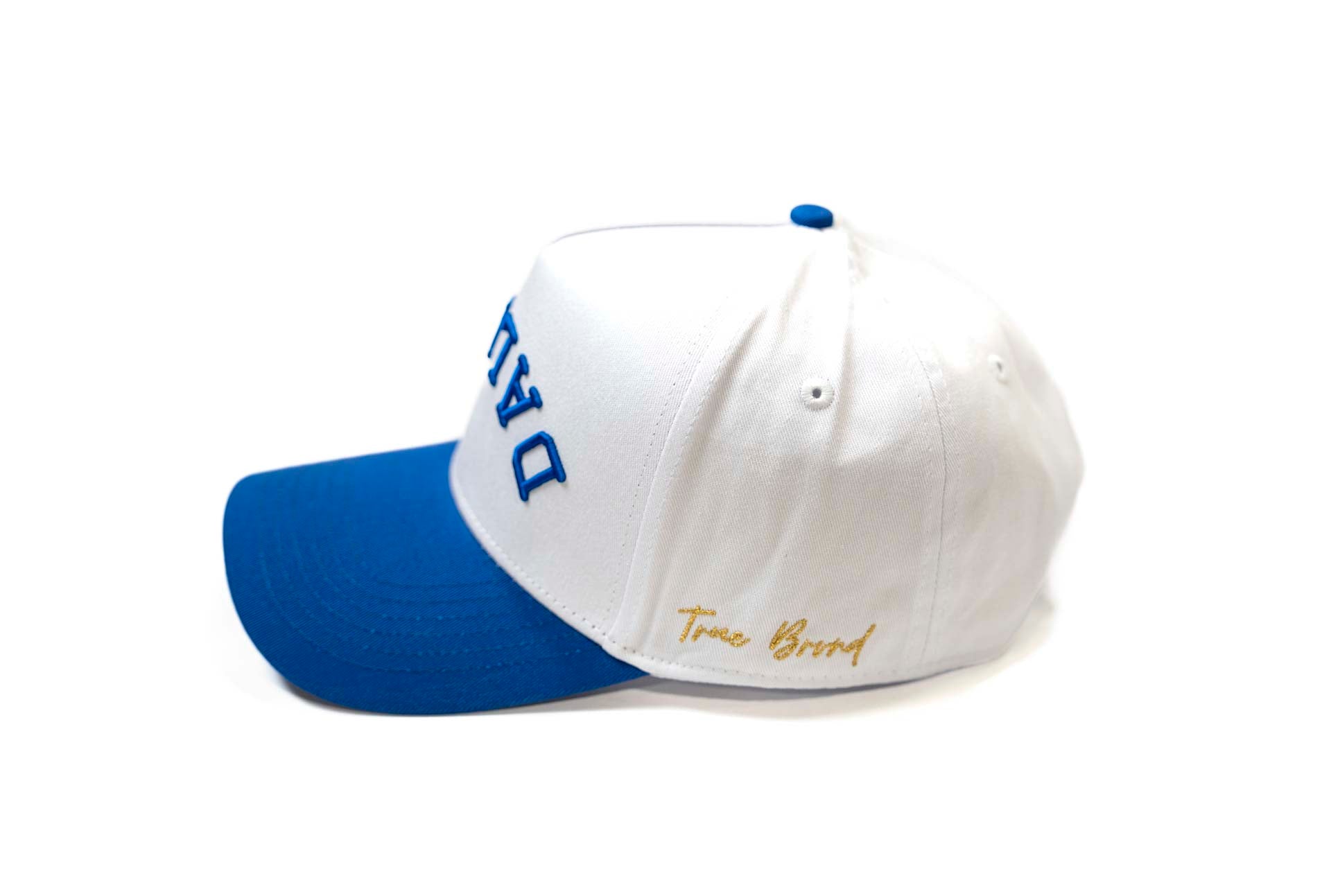 Precurved Dallas snapback - ROYAL / WHITE
