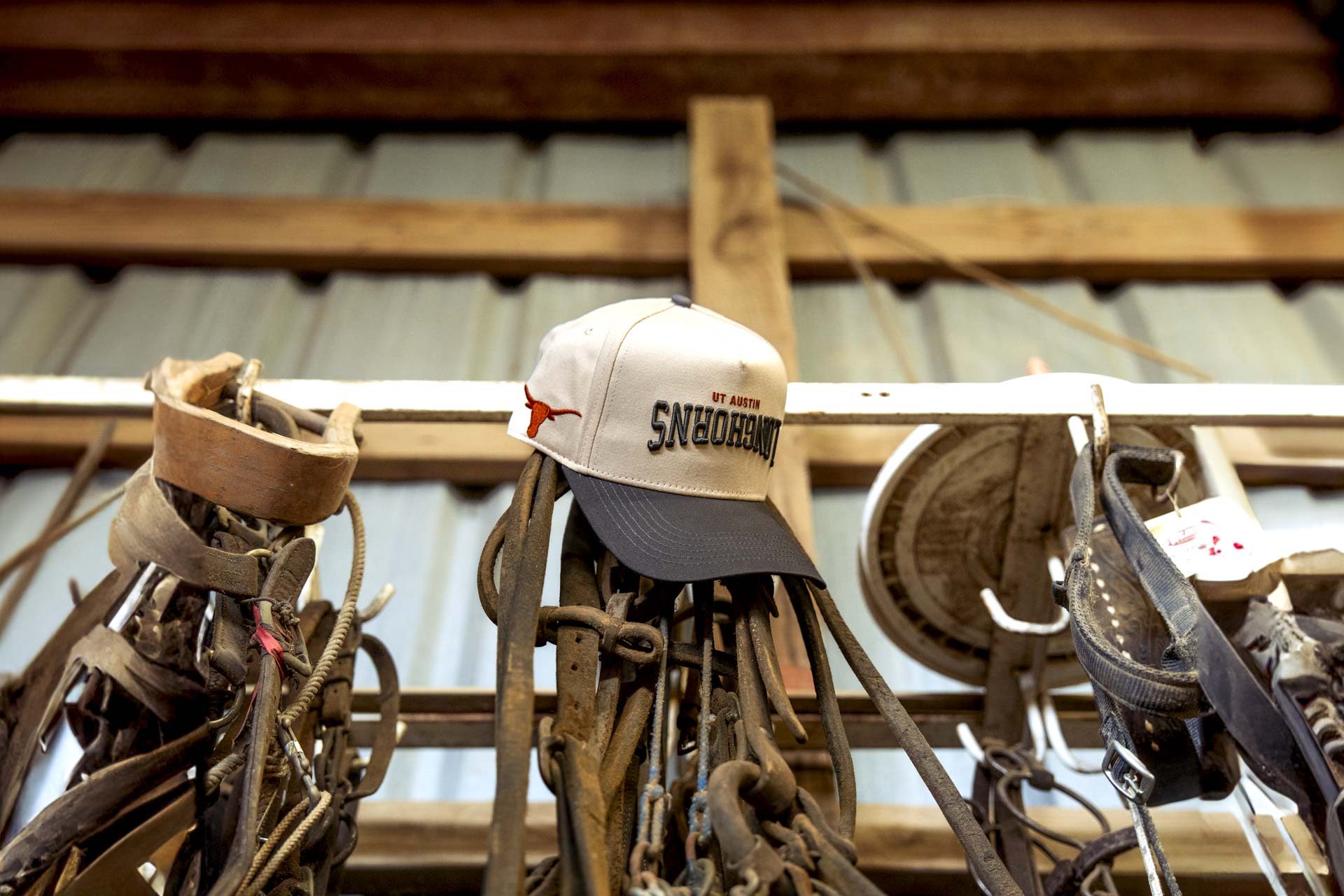 UT Austin (USD Longhorns) - GRAY / OFFWHITE