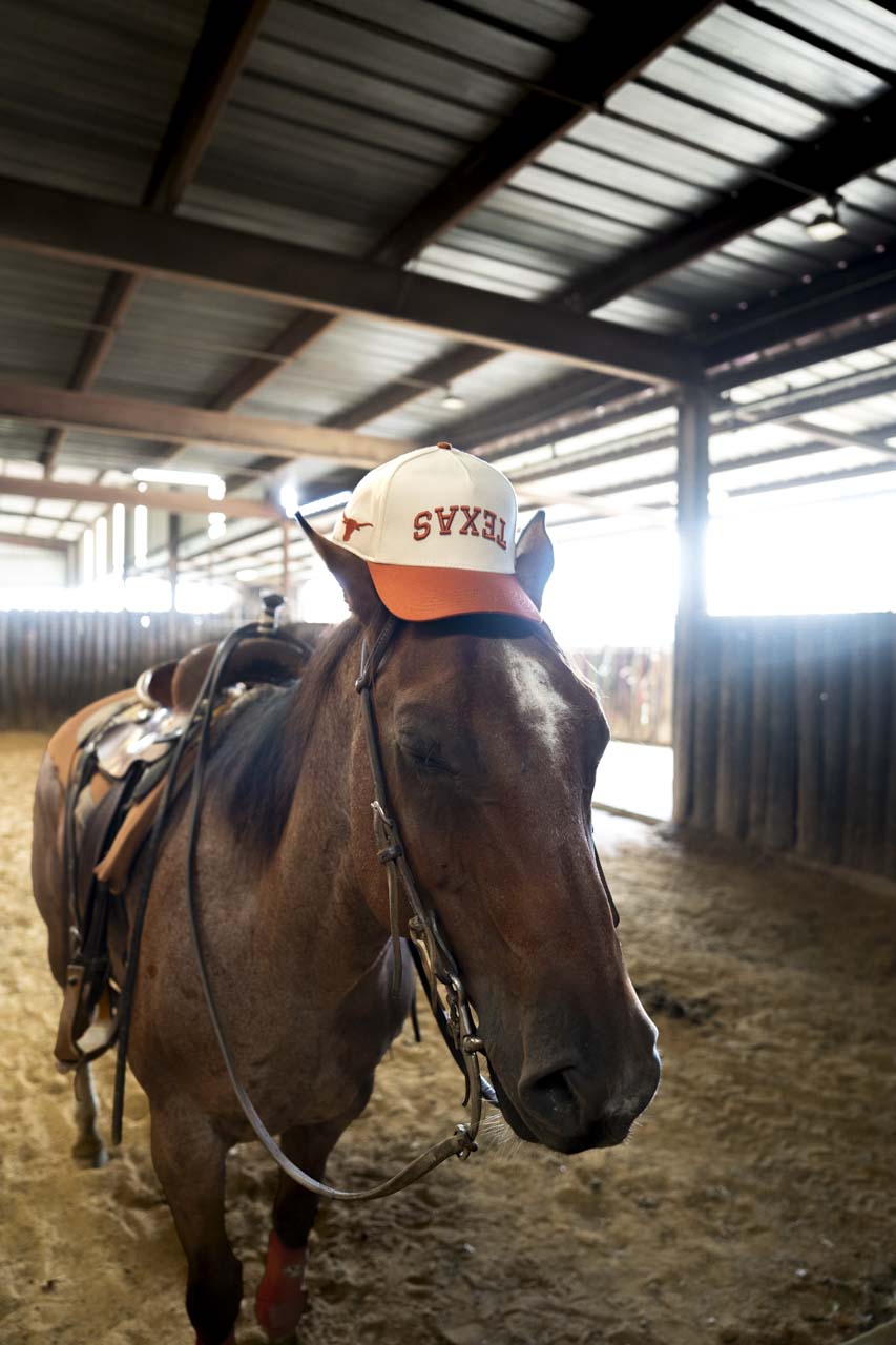 UT Austin (USD Tex.) - BURNT ORANGE / OFFWHITE