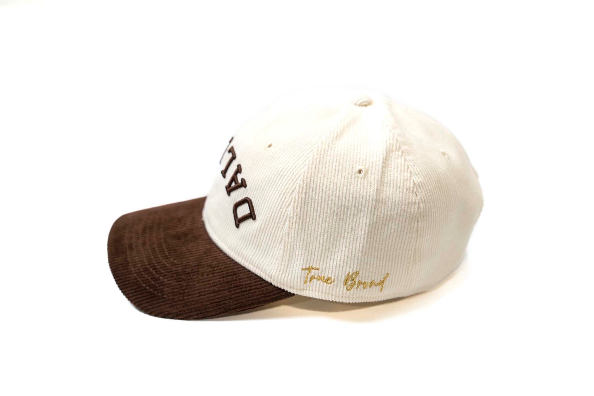 Dallas Wings Dad Hat - BROWN / OFFWHITE (Corduroy)