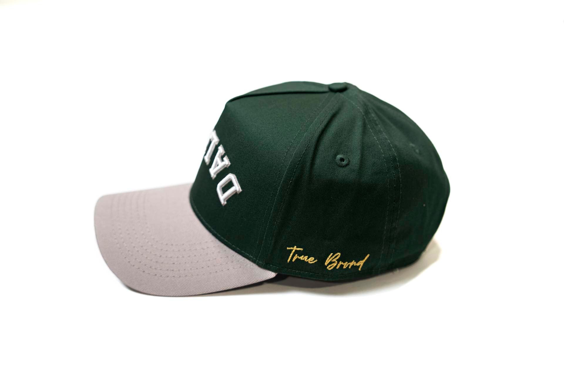 Precurved Dallas snapback - GRAY / FOREST GREEN