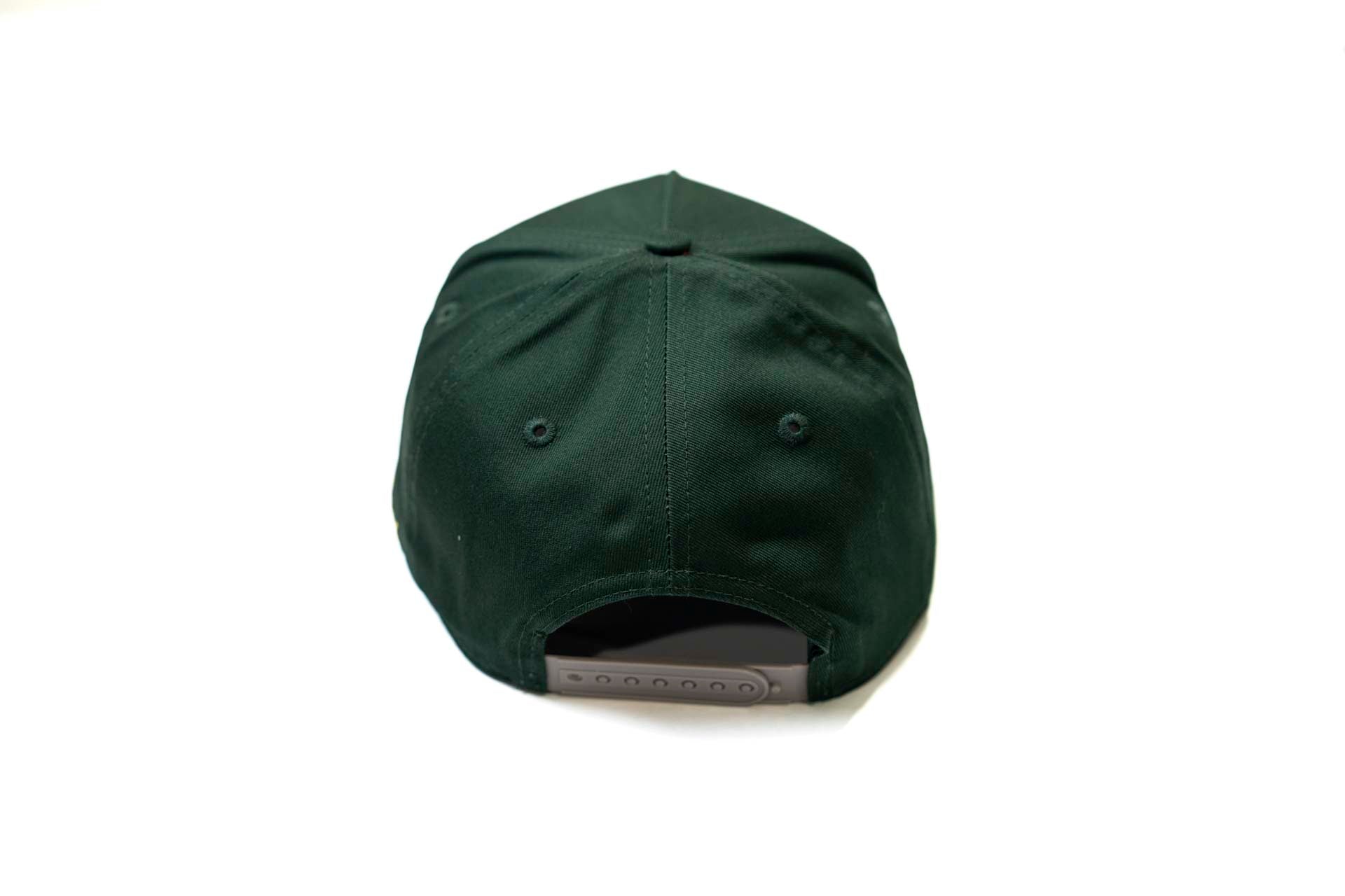 Precurved Dallas snapback - GRAY / FOREST GREEN