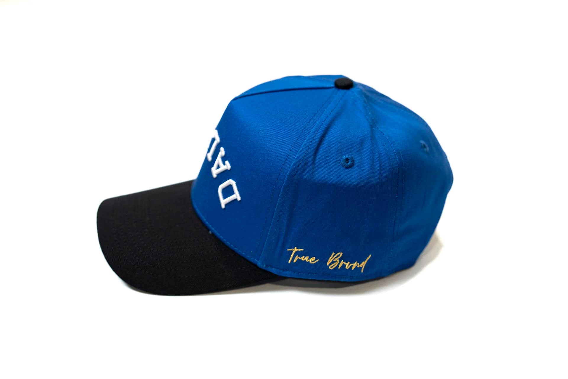 " Blueberry " - Precurved Dallas snapback - BLACK / ROYAL