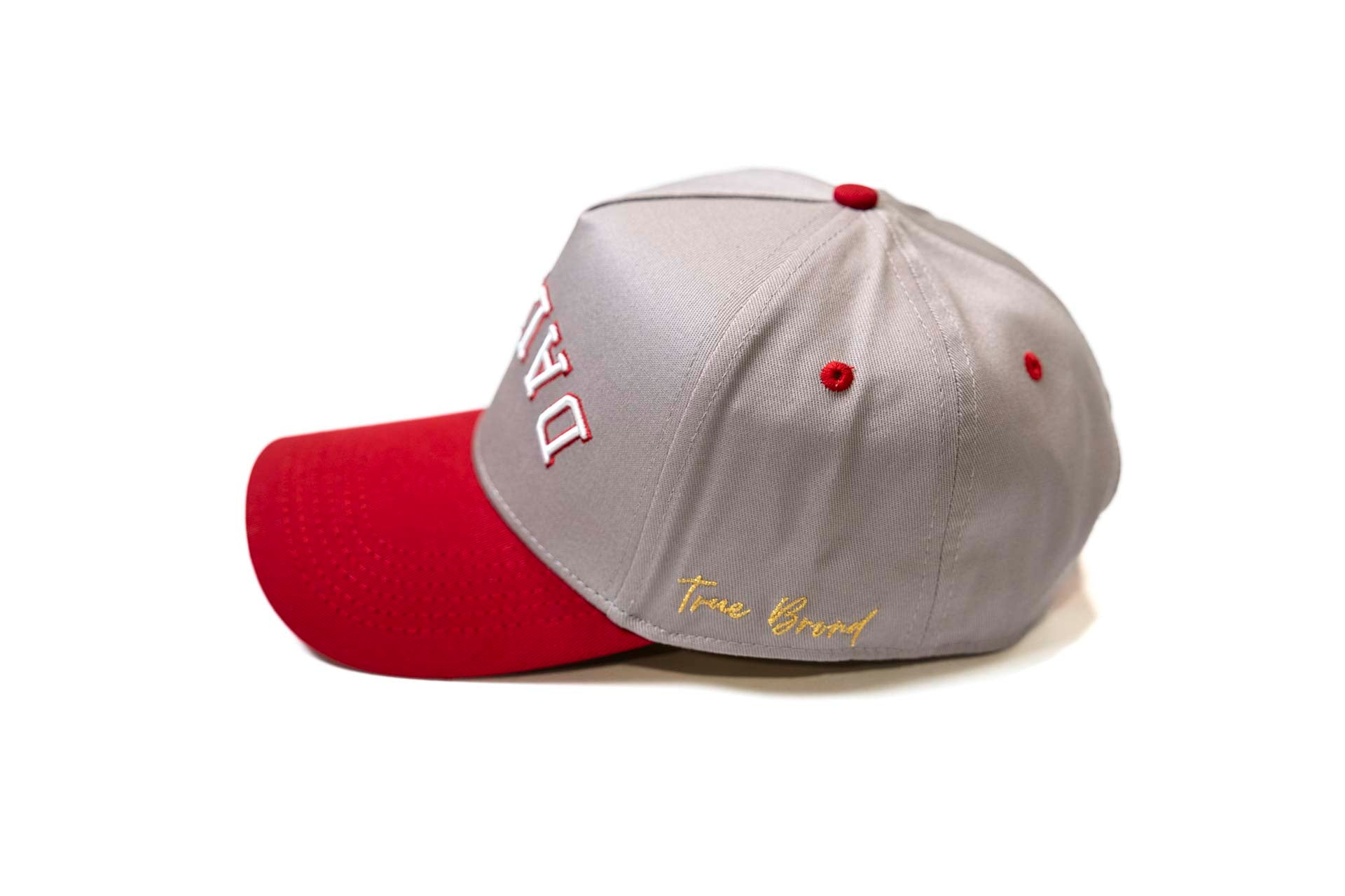 Precurved Dallas snapback - CARDINAL RED / LITE GRAY