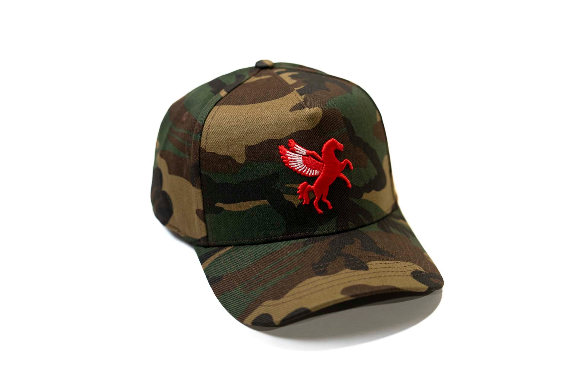 CAMO - PEGASUS