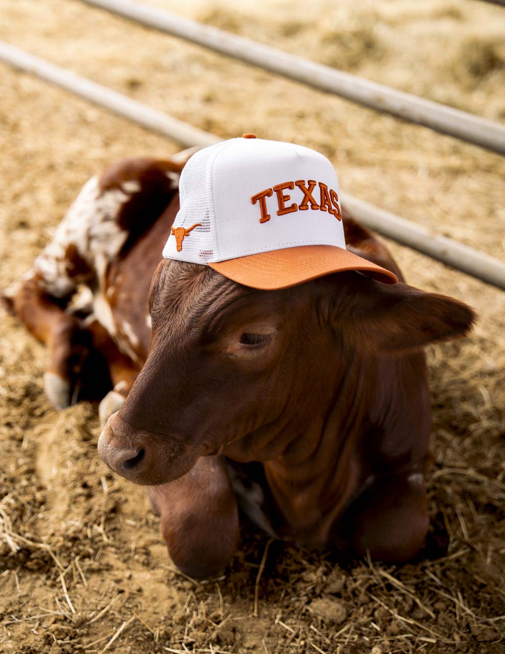 UT Austin Trucker - B. ORANGE / WHITE